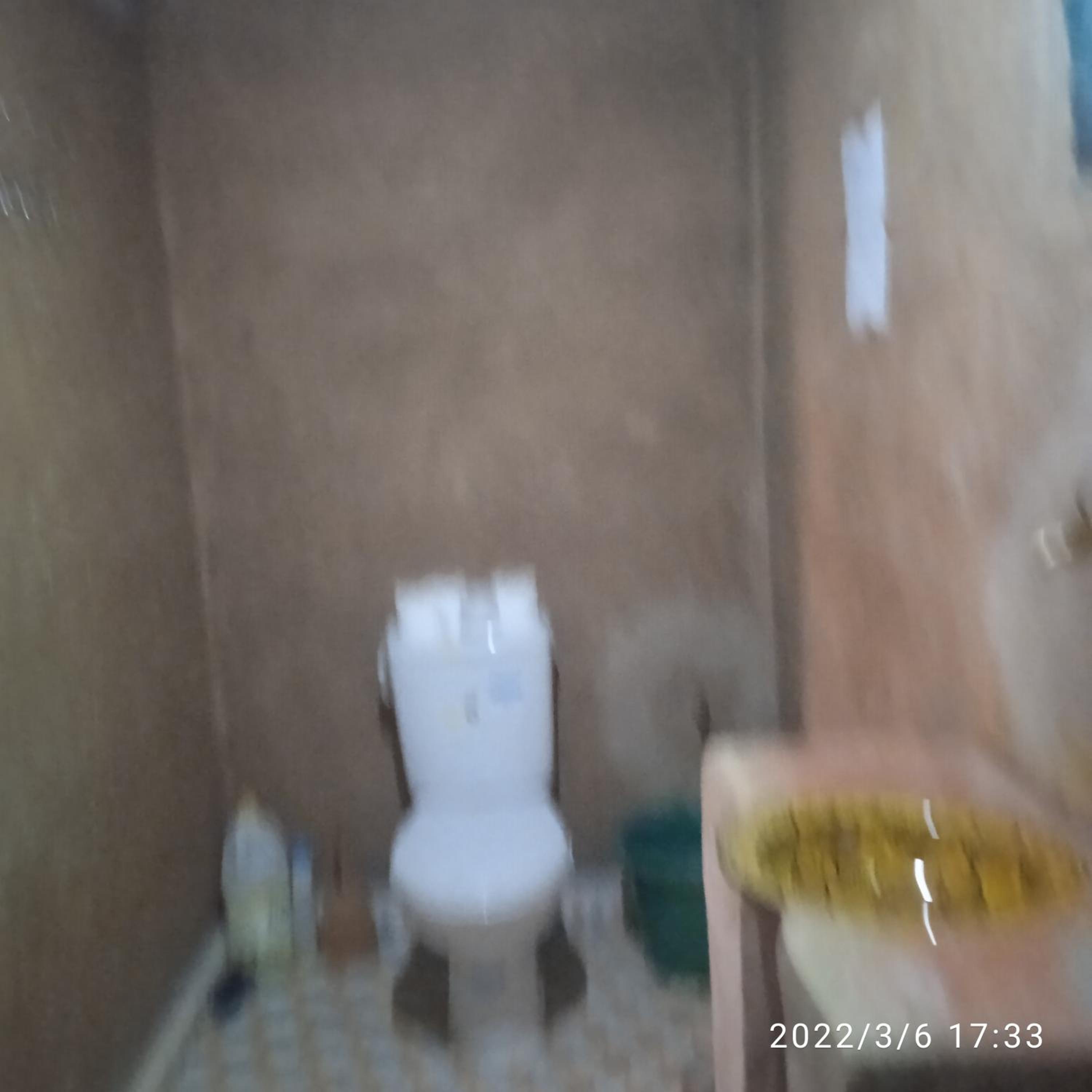 Photo 58