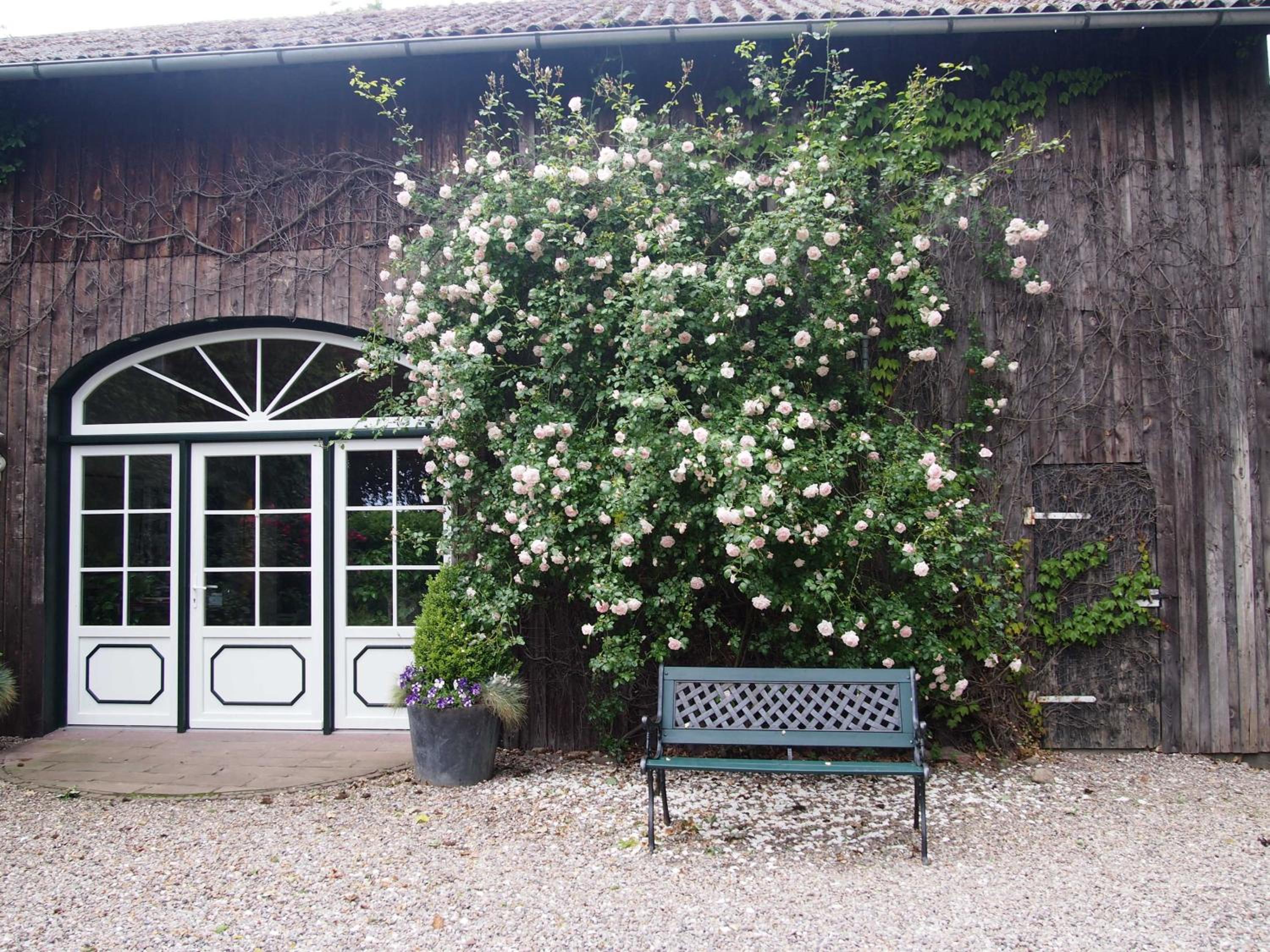 Ferienwohnungen Knospe