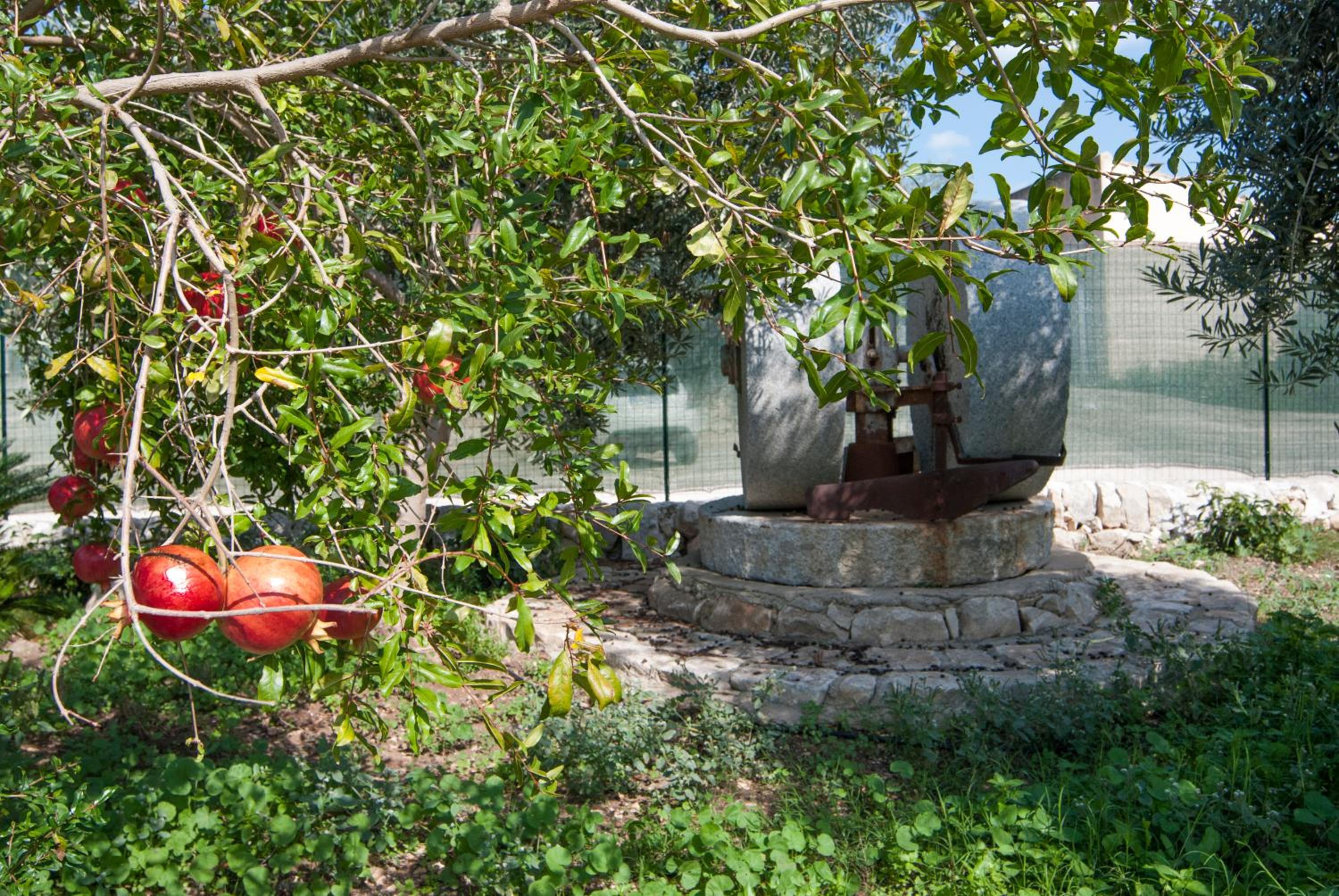 Agriturismo Al Casale