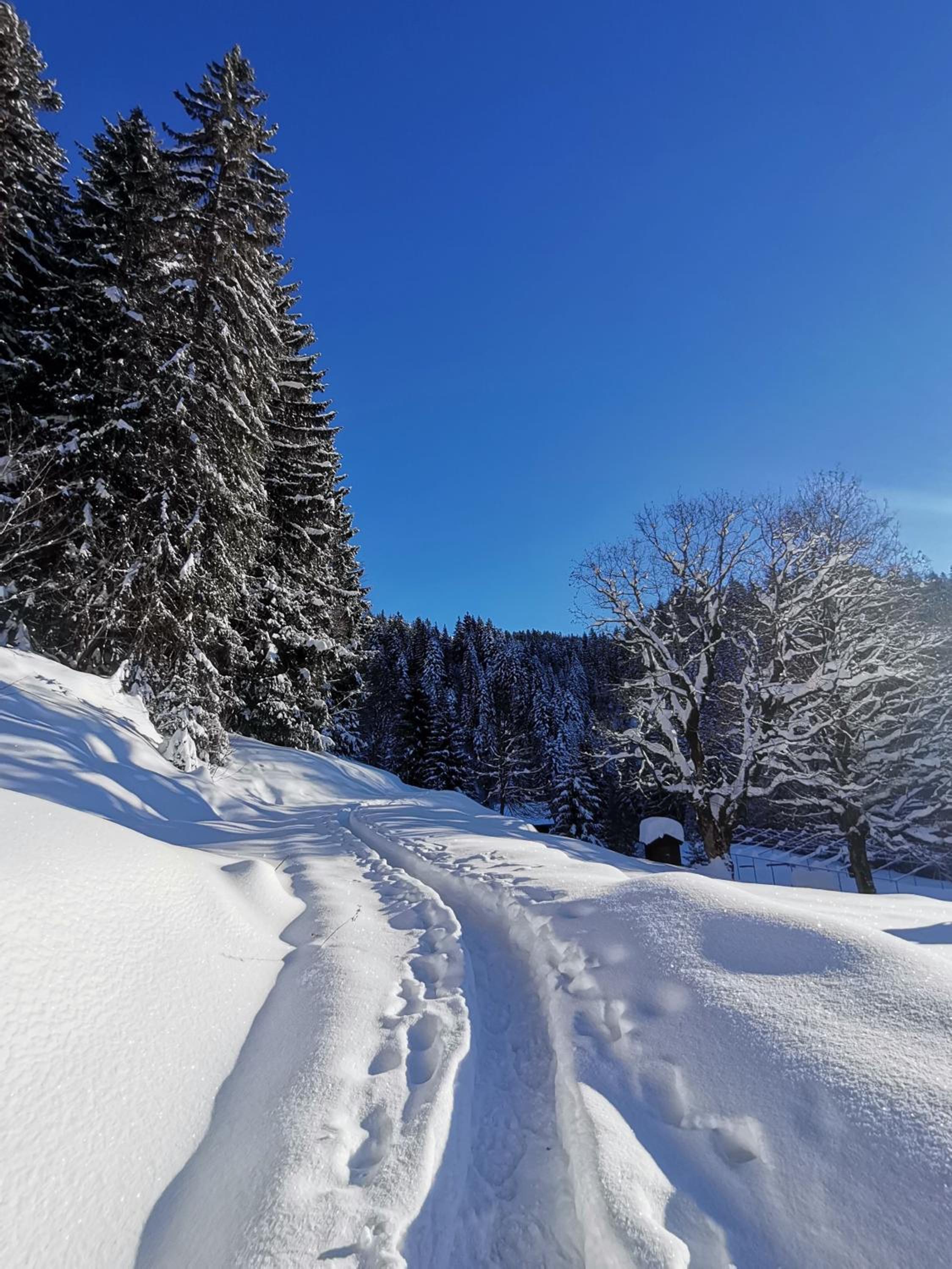 Ferienhaus Bergfrieden Laterns auf 1.170 m