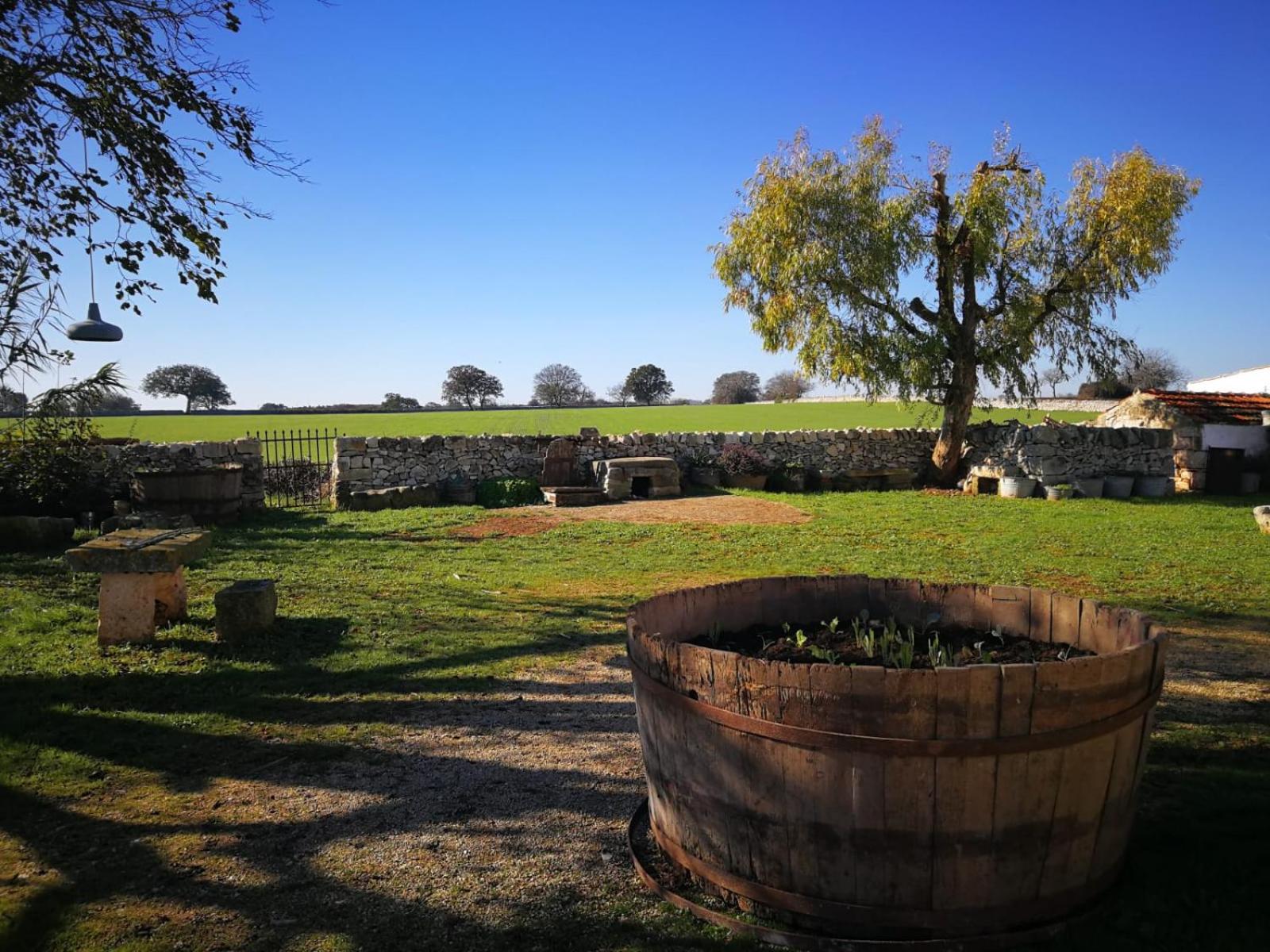 Masseria La Gatta Matta view 5