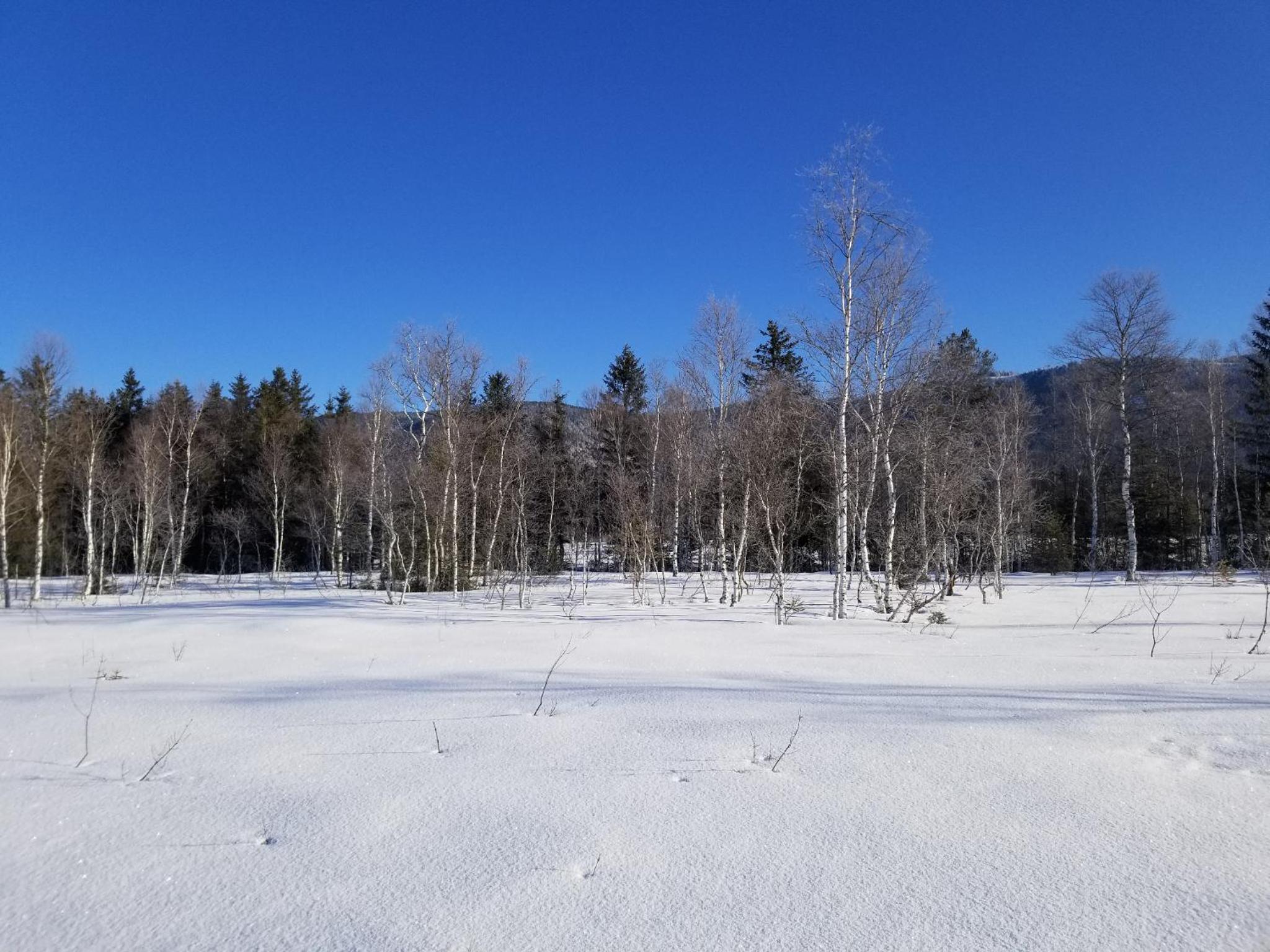 Zirbenstüberl - Chiemgau Karte view 5