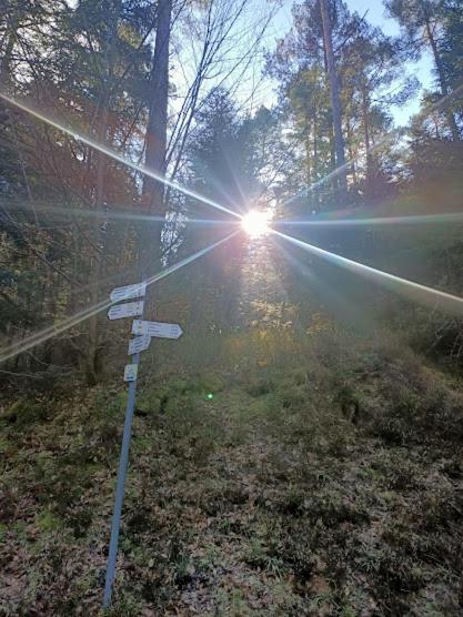 Ausblick Maisenbach Talstraße