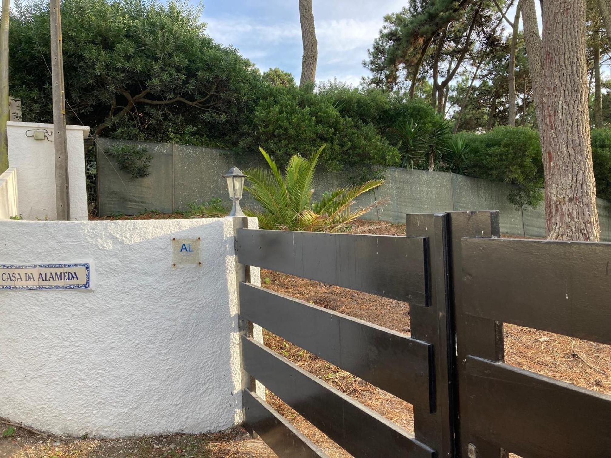 Moradia no Pinhal com Piscina - Espaço e Privacidade para as suas Férias! view 3