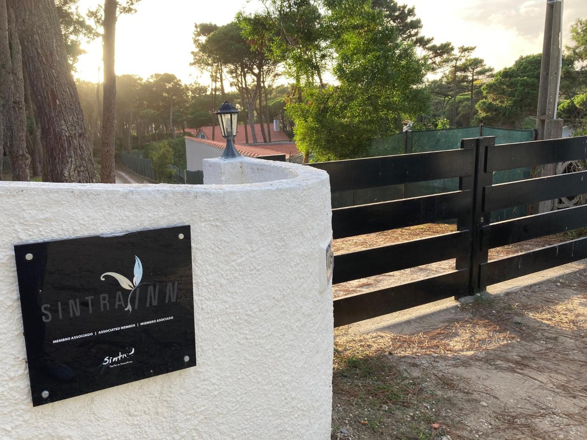 Moradia no Pinhal com Piscina - Espaço e Privacidade para as suas Férias! view 4