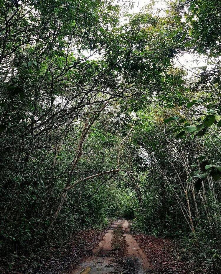 Pousada Amazônia Encantada