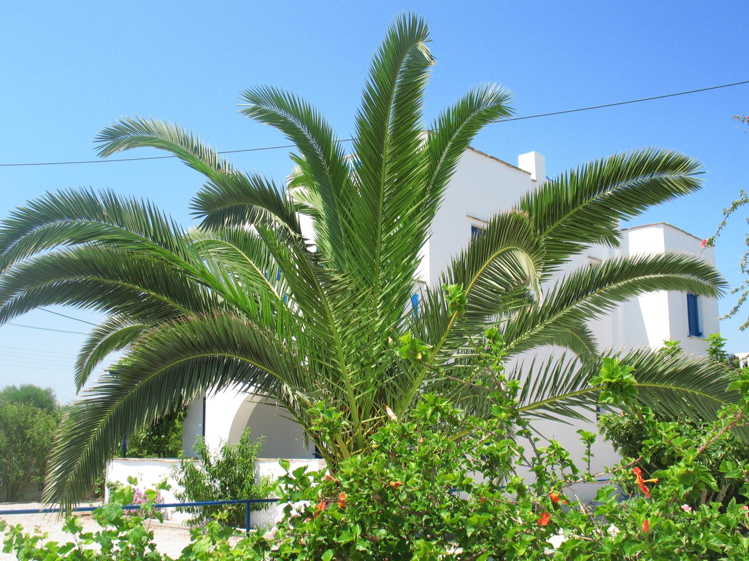Photo 7