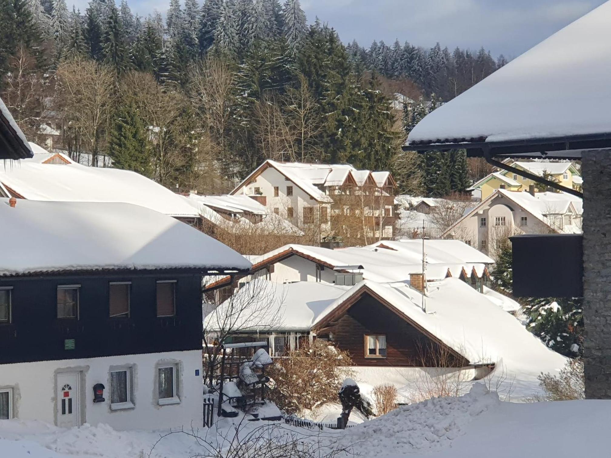 Feuersalamander Appartement am Predigtstuhl