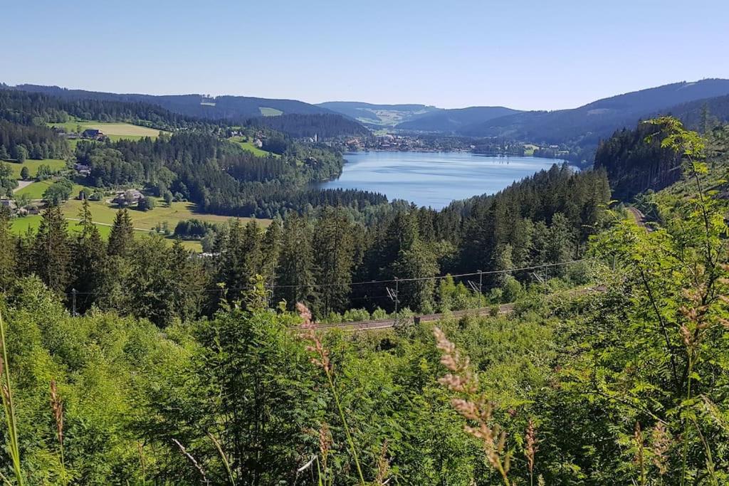 Black Forest Bergliebe Pool Terrasse Natur Ruhe Komfort view 5