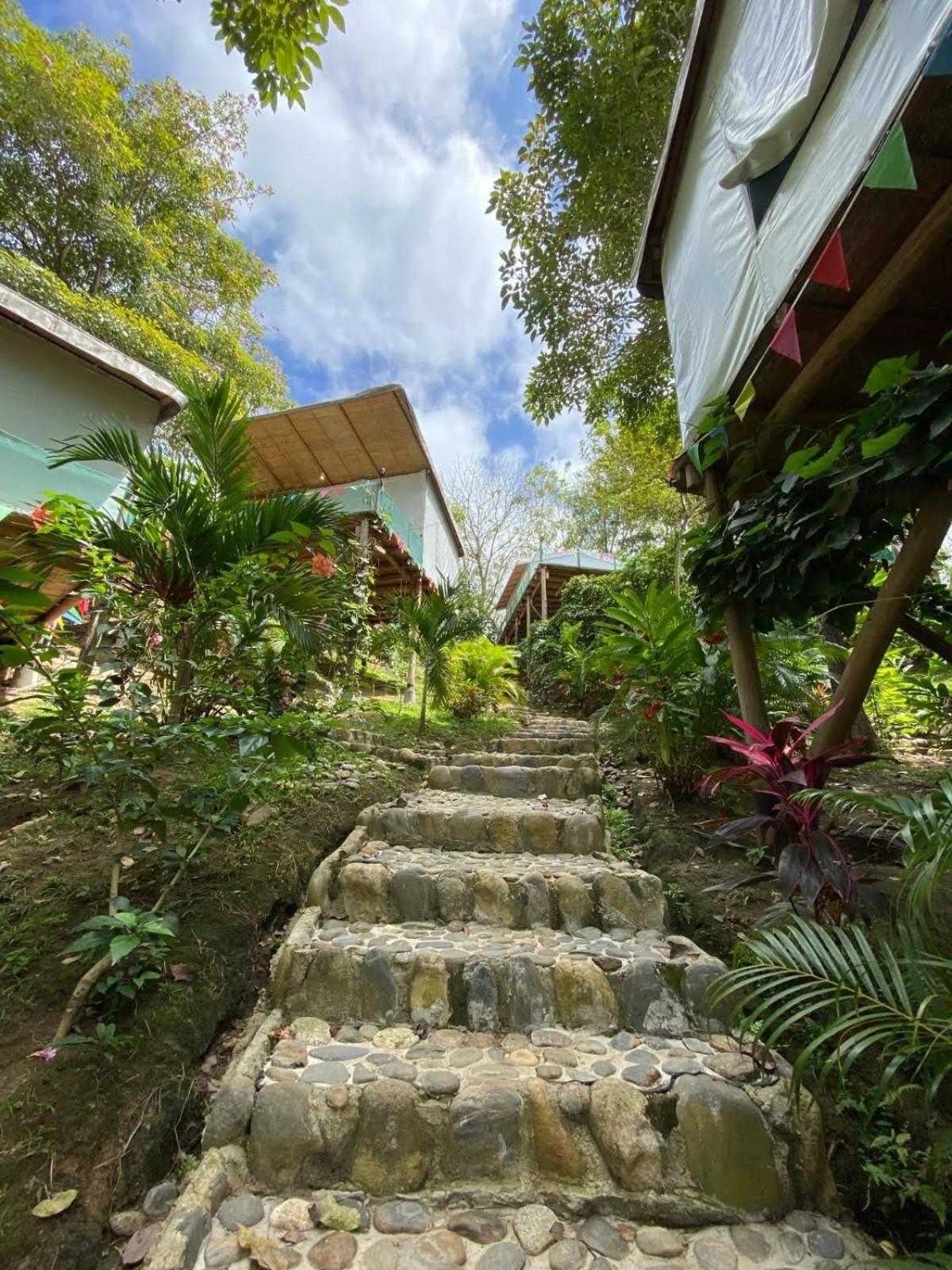 Serrano Tayrona Lodge view 4
