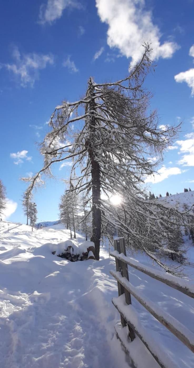 Lärchenheim