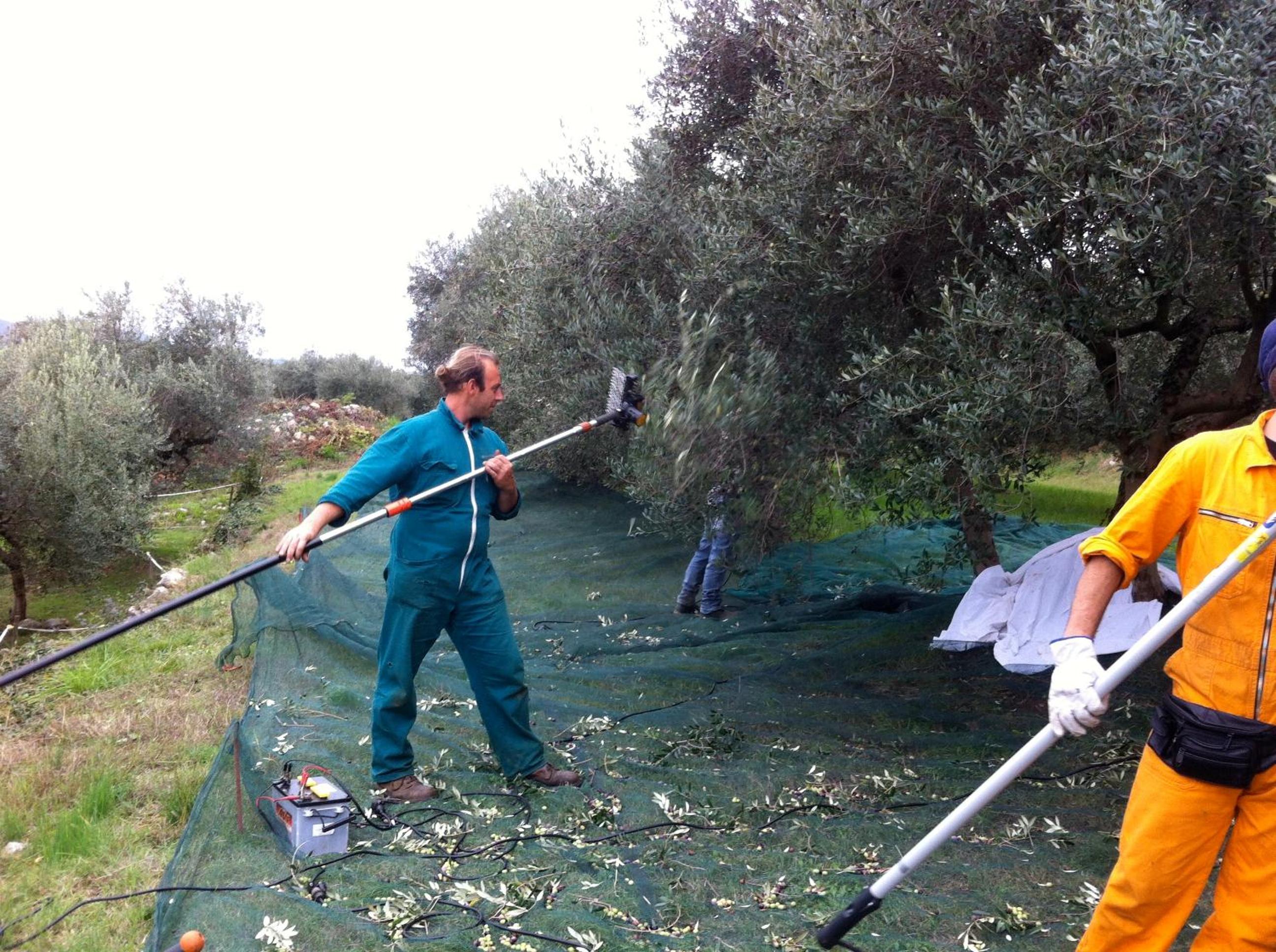 Agriturismo Casa Rosa