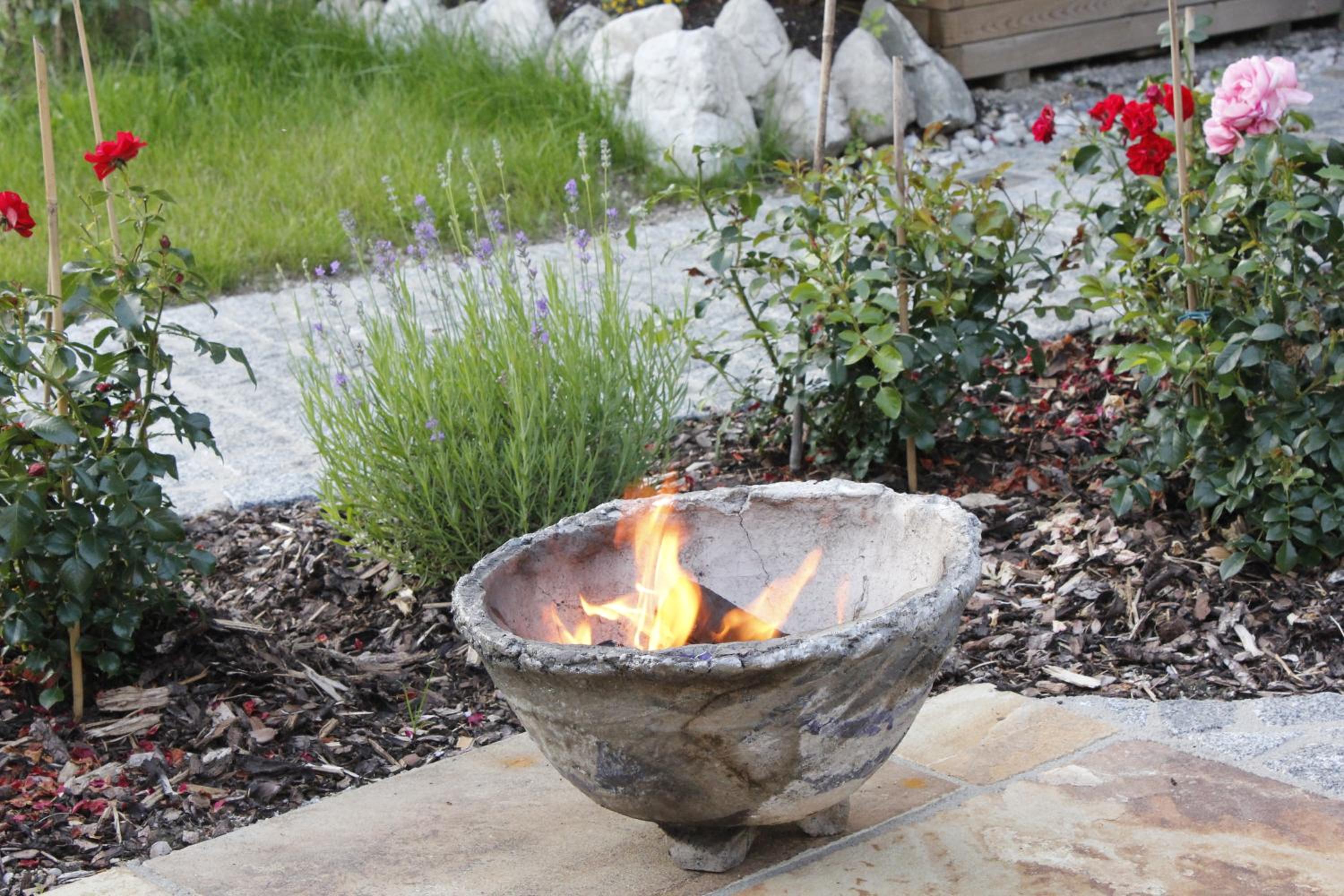 Photo 19