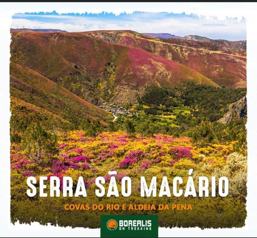 Terraço d’Aldeia
