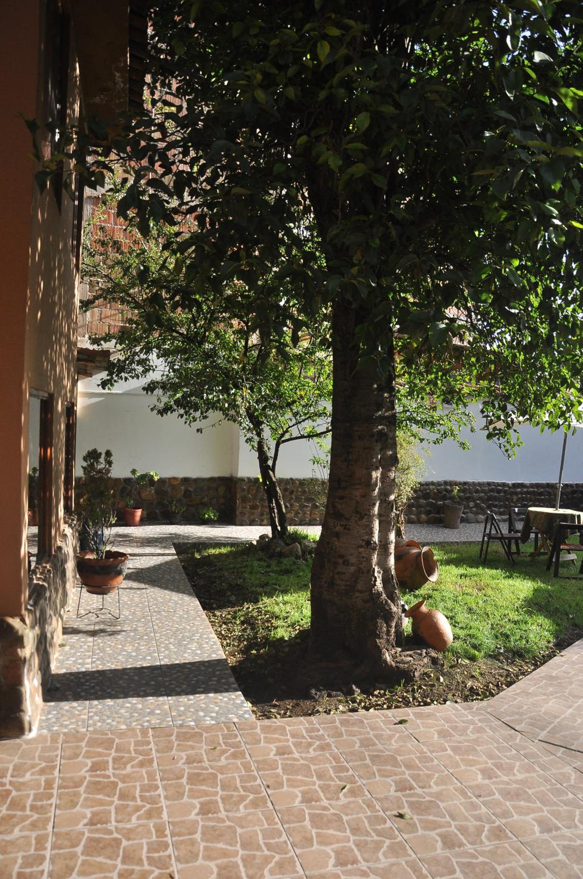 Hostal Goya Andina