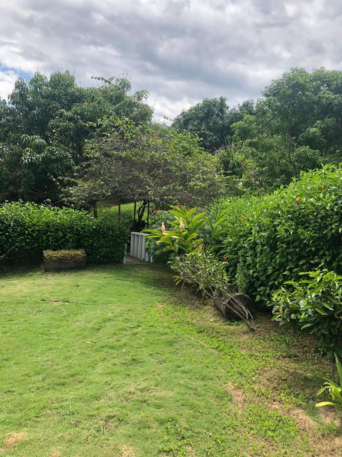 FINCA FILANDIA