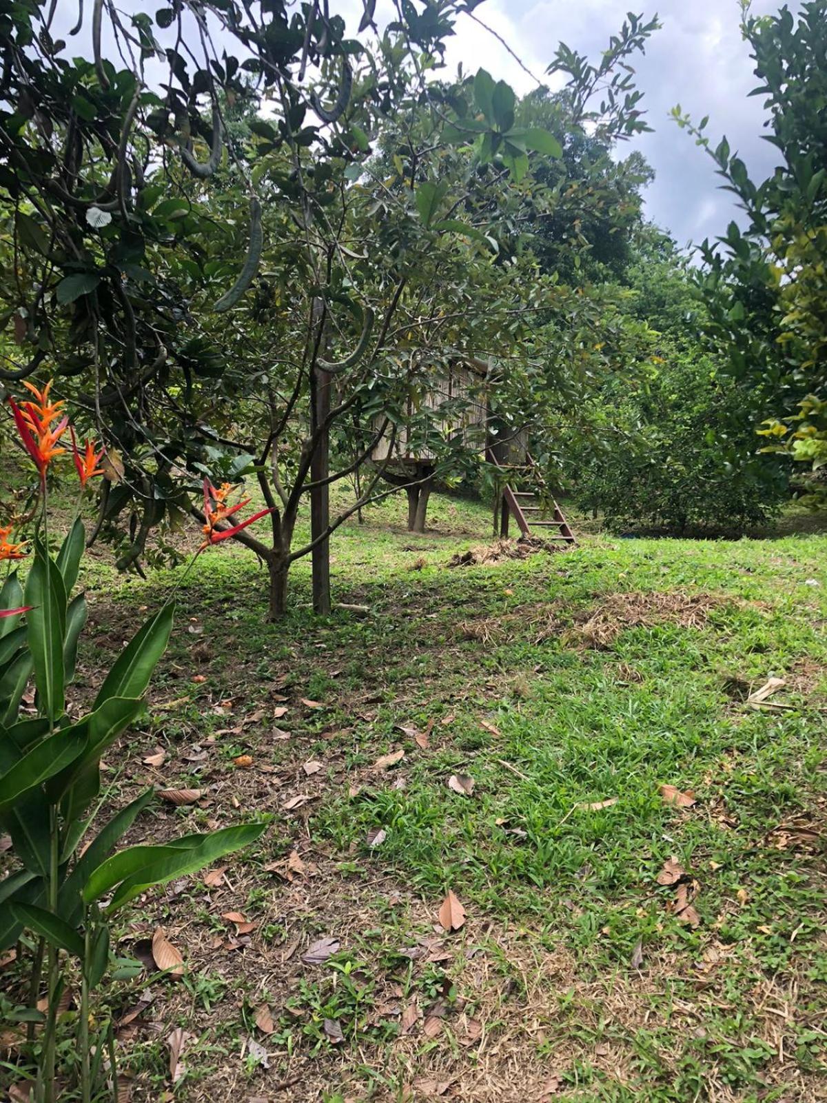 FINCA FILANDIA