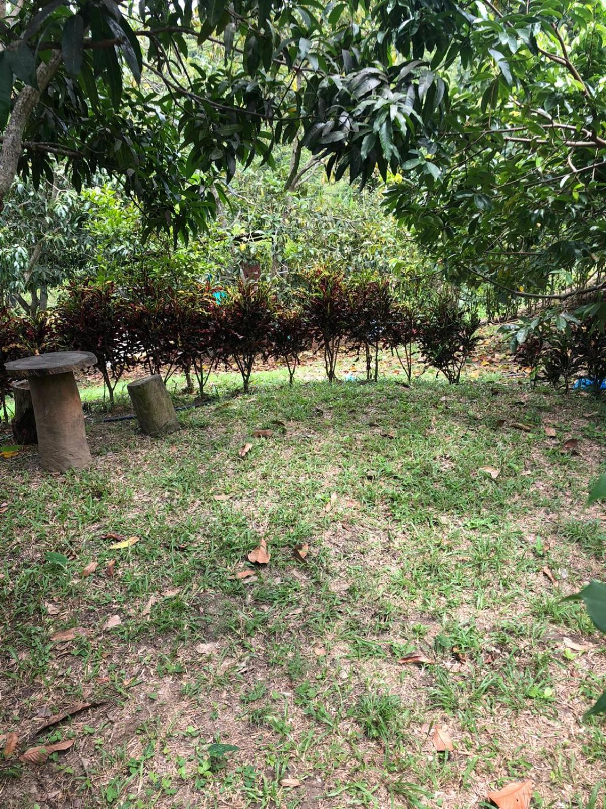 FINCA FILANDIA