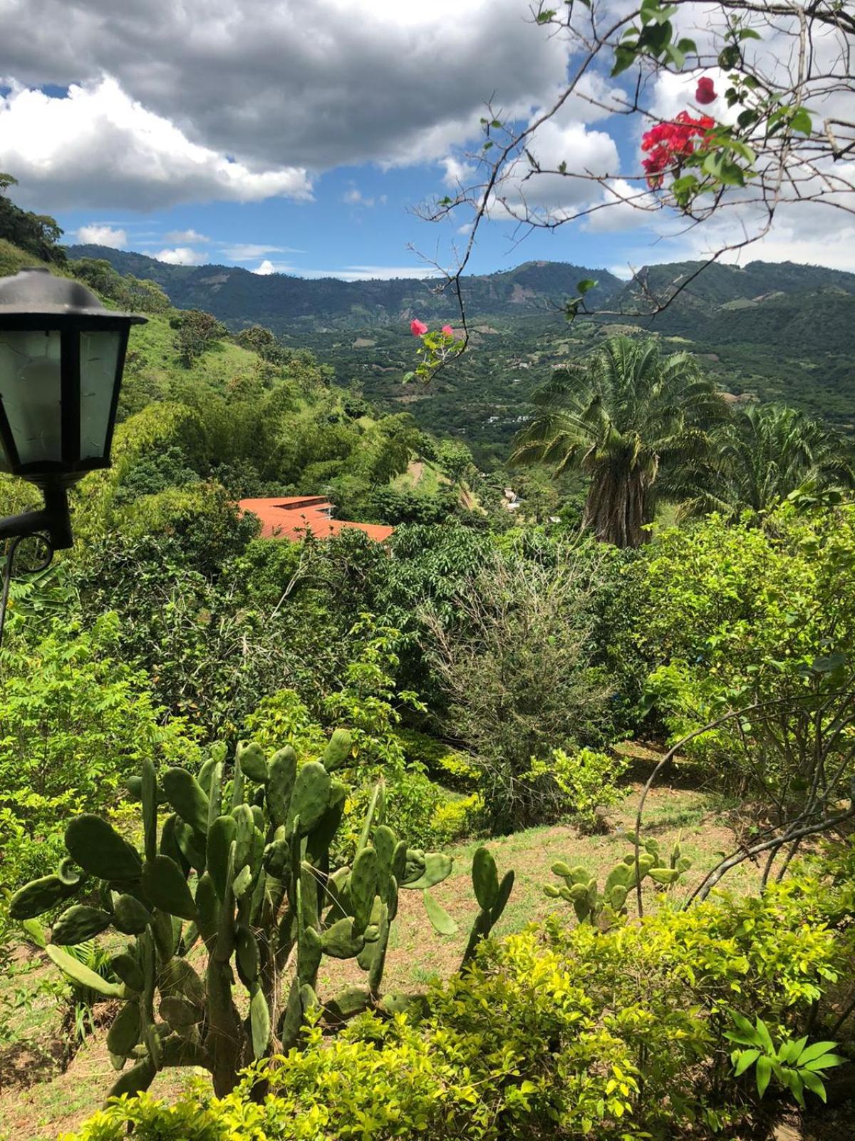 FINCA FILANDIA