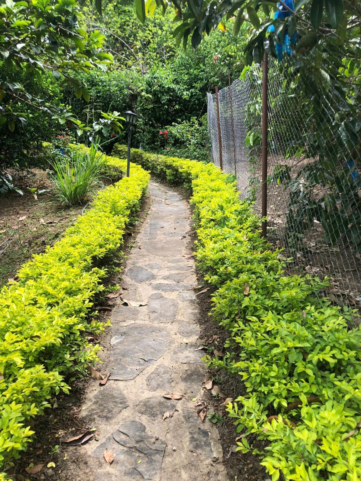 FINCA FILANDIA