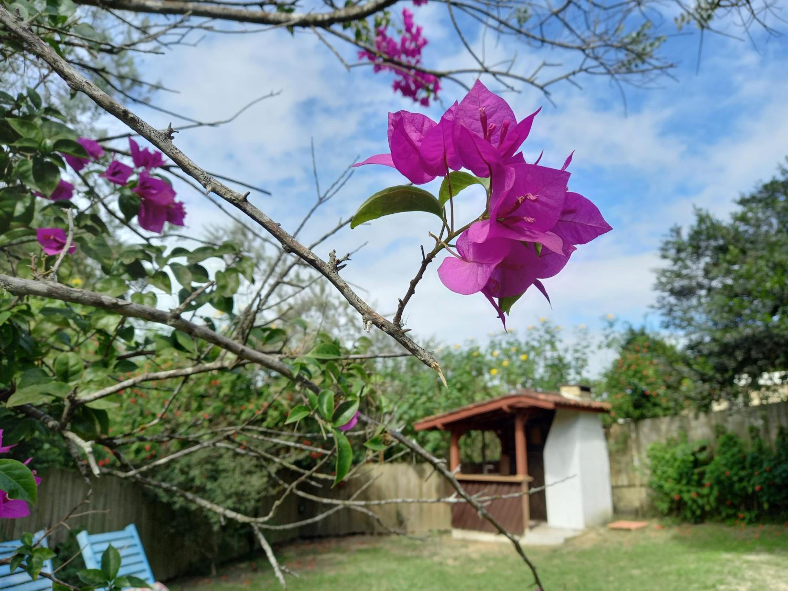 Morada Caminho do Mar