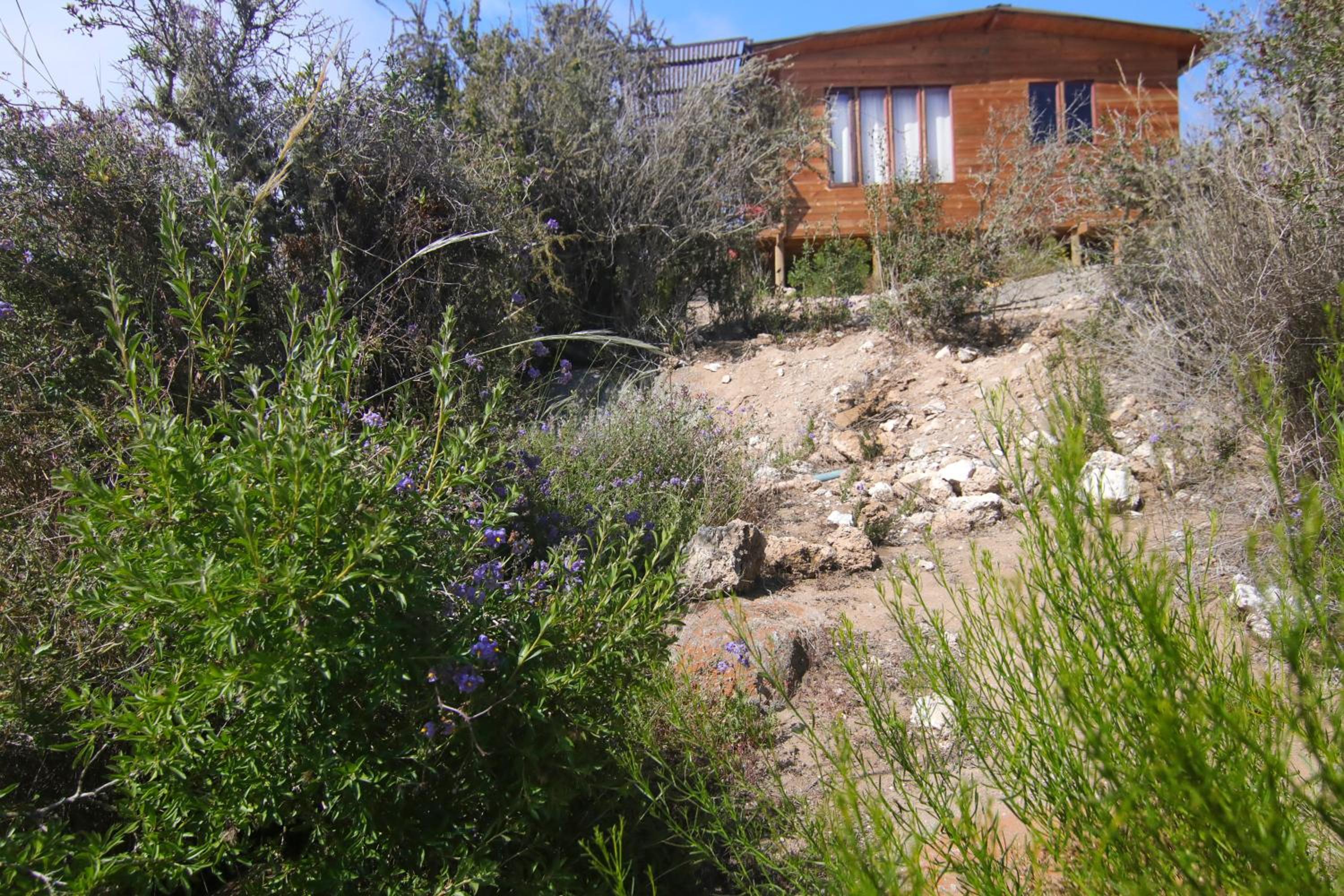 Ocho Aguilas Eco Lodge
