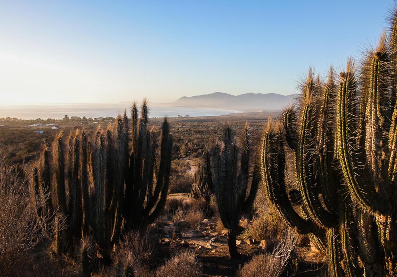 Ocho Aguilas Eco Lodge