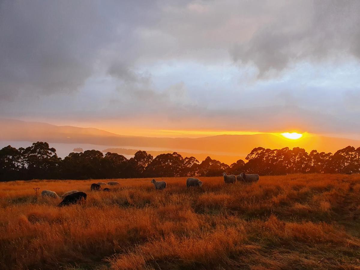 Ruby's Cottage Farm Stay