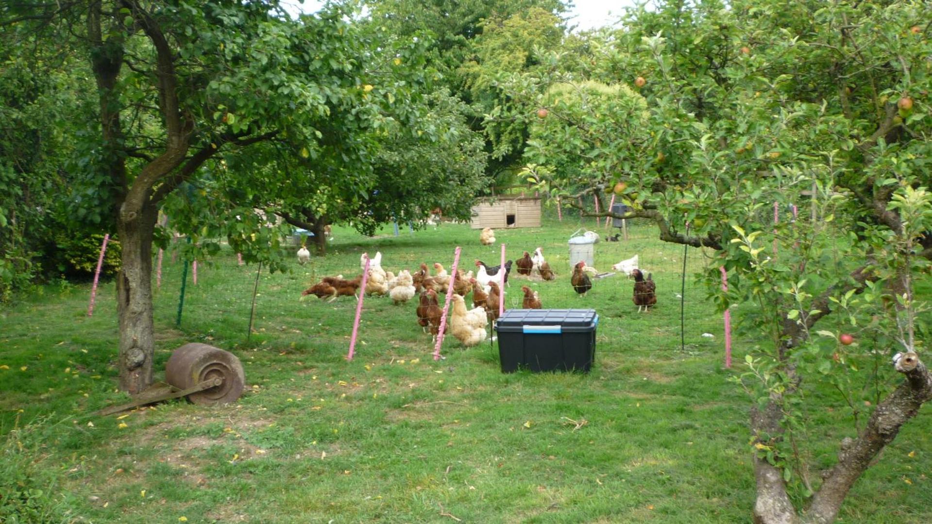 Hopewell self-catering