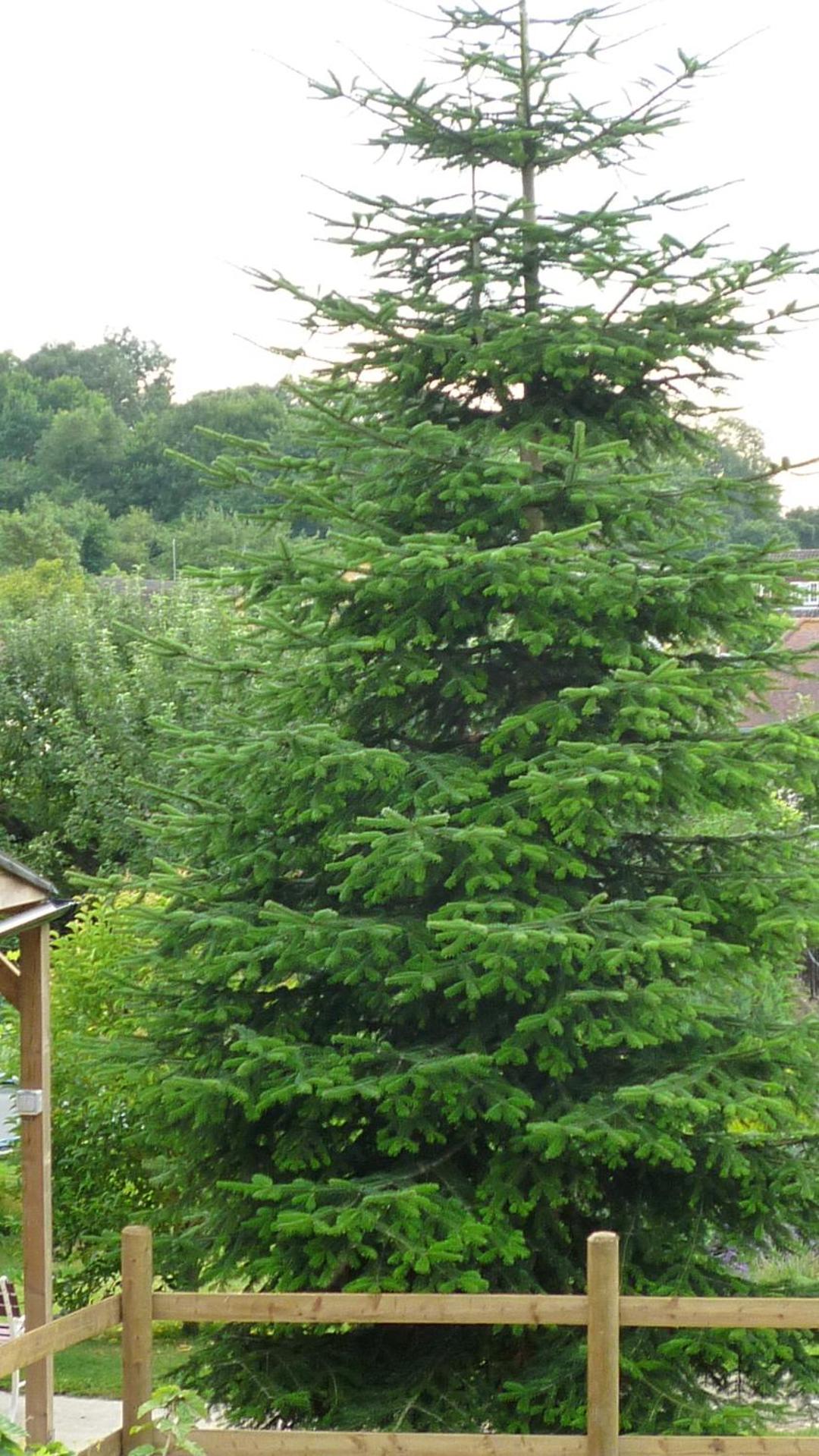 Hopewell self-catering