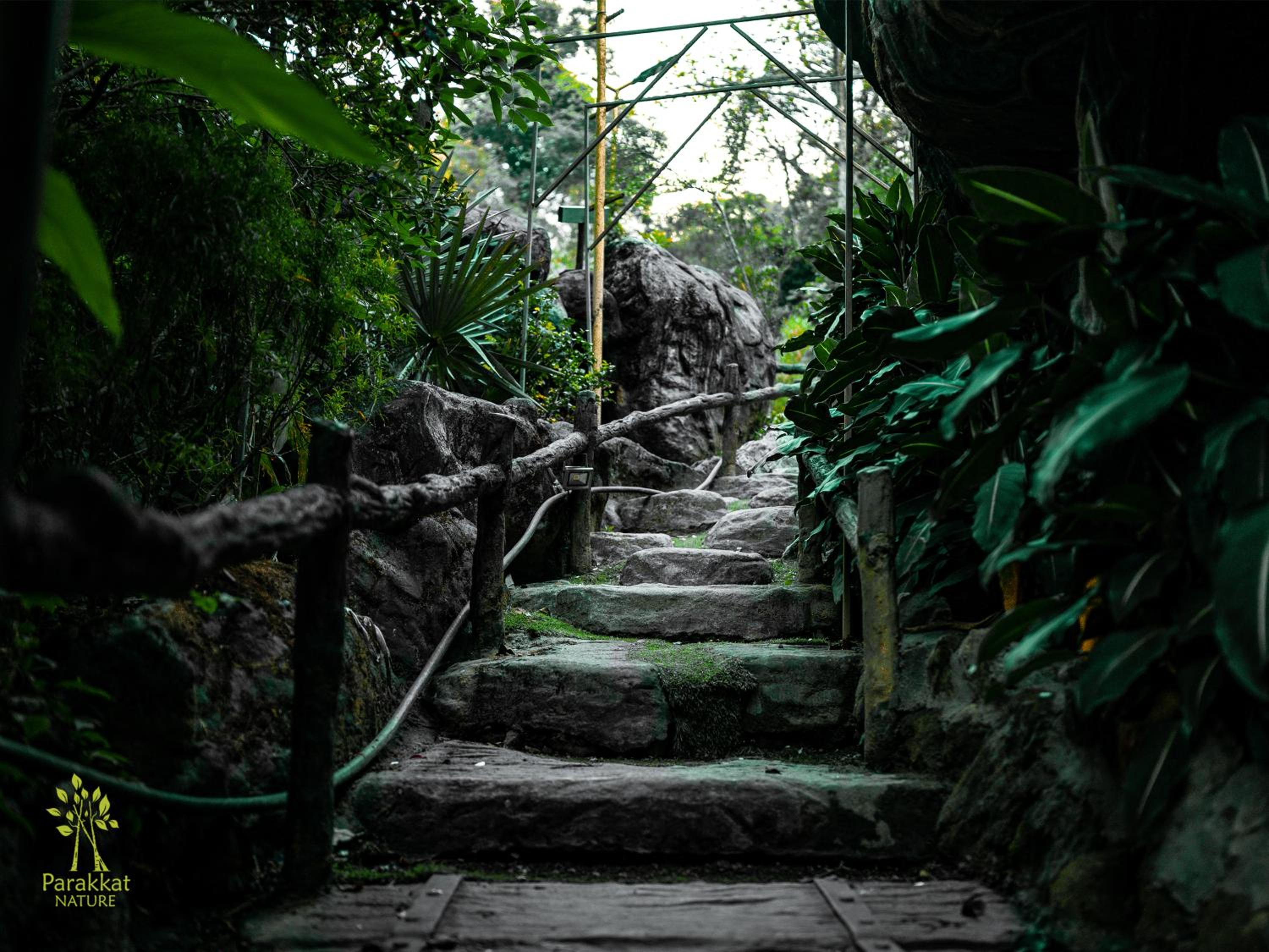 Parakkat Nature Resort
