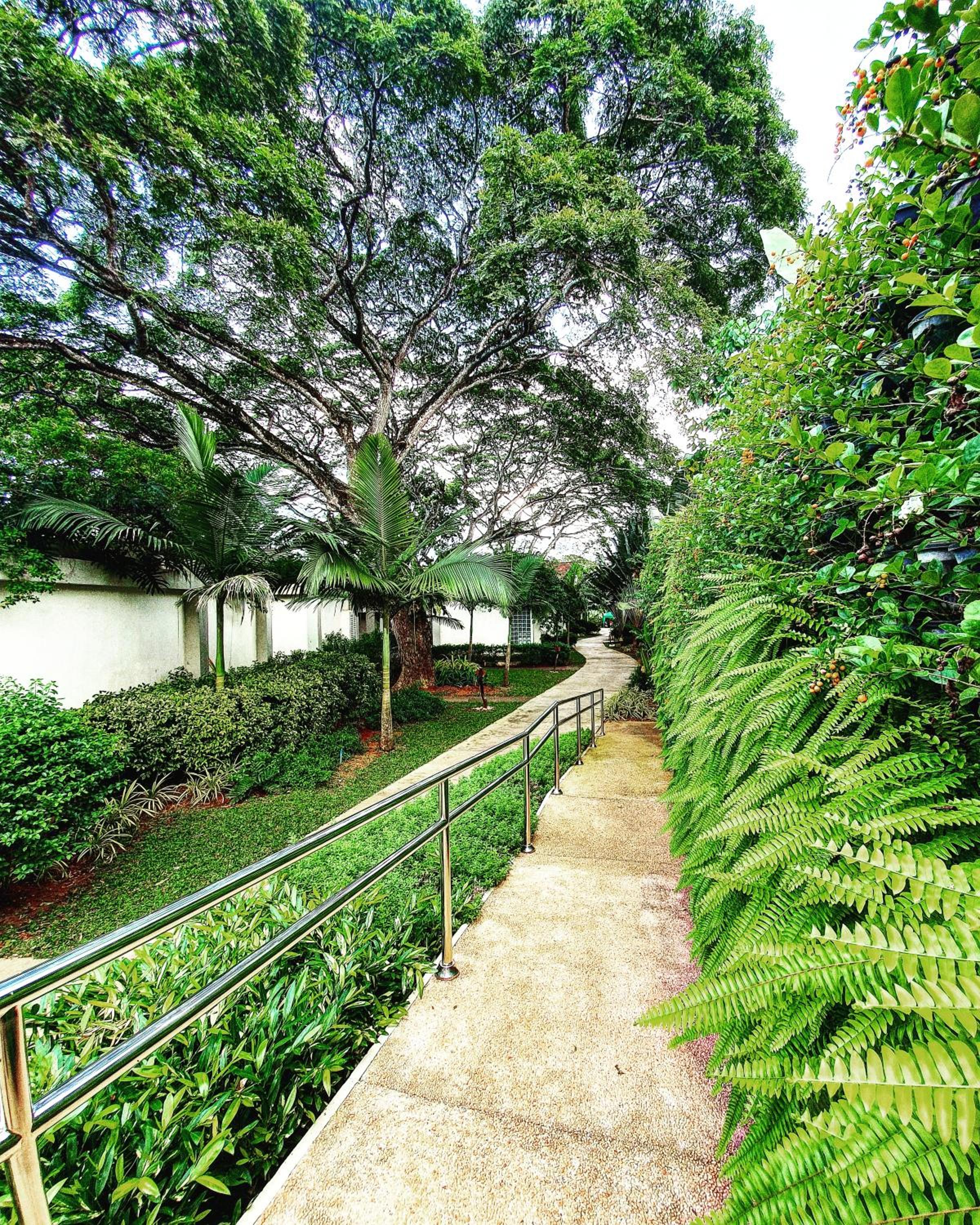 Munting Paraiso