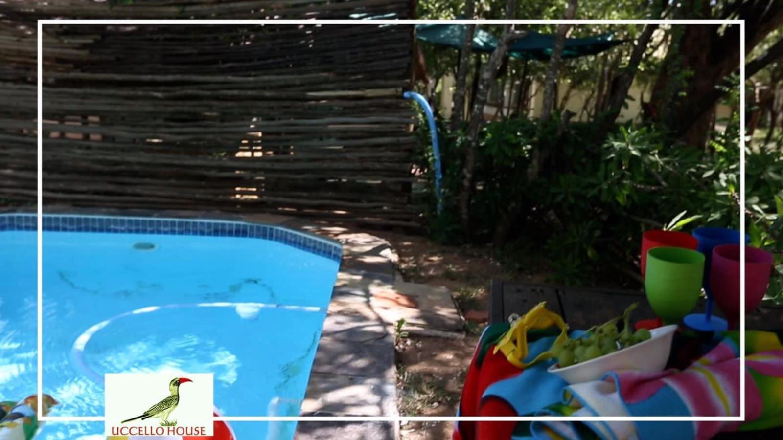 Uccellohouse view 5