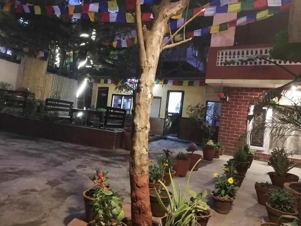 Nirvana Green Peace Home view 3