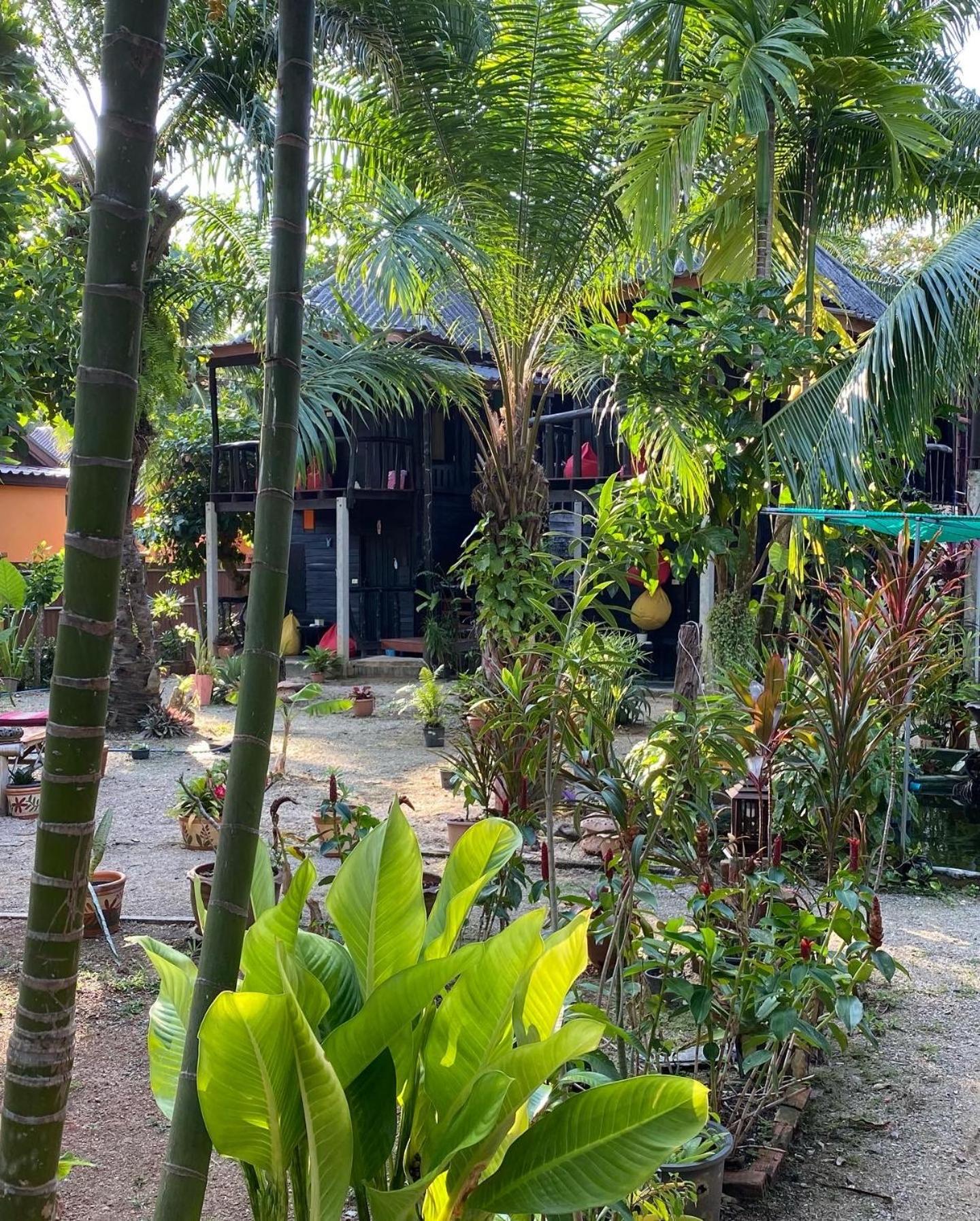 Leaf House Bungalows