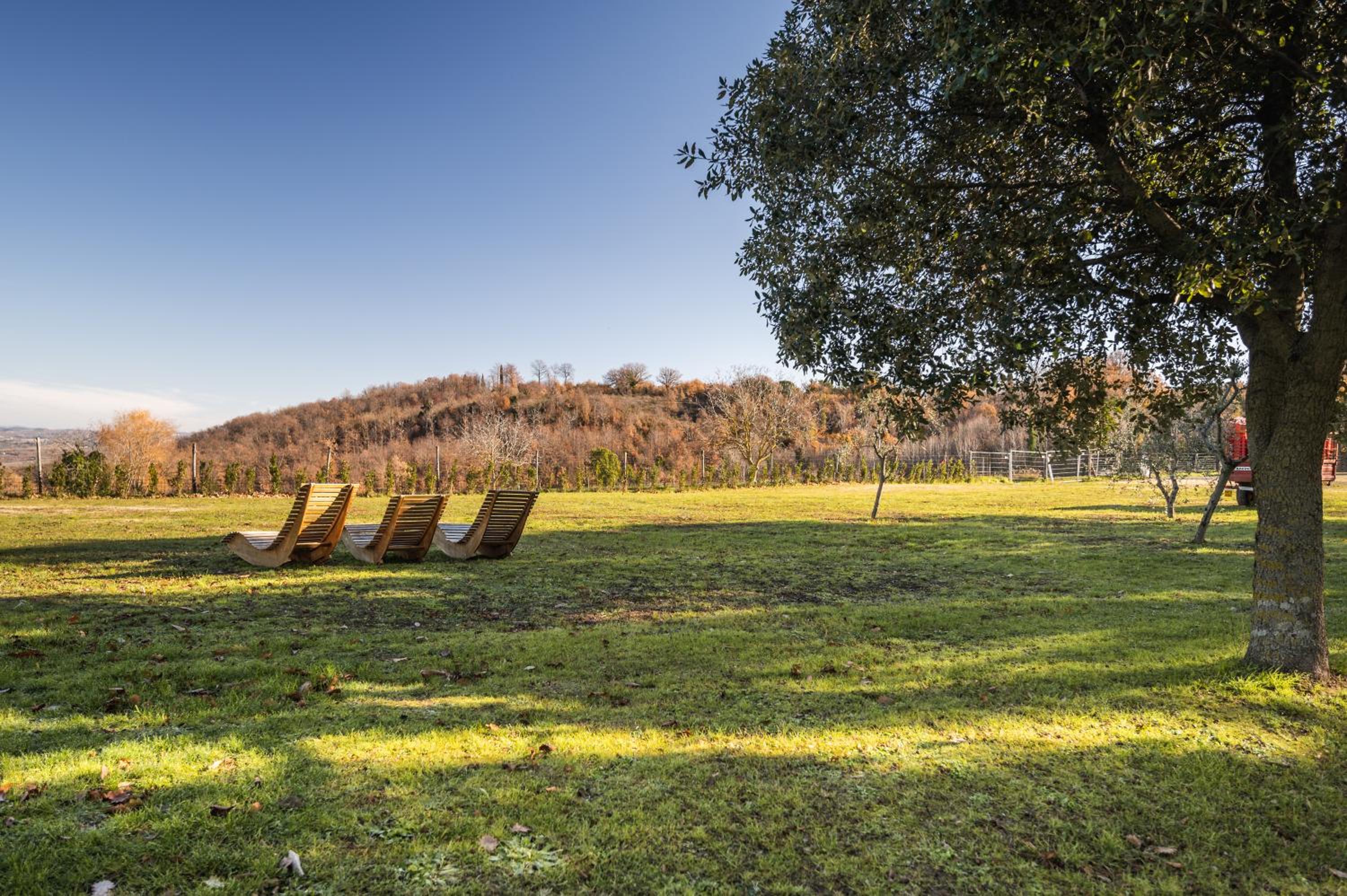 agriturismo l'arte dei semplici view 2