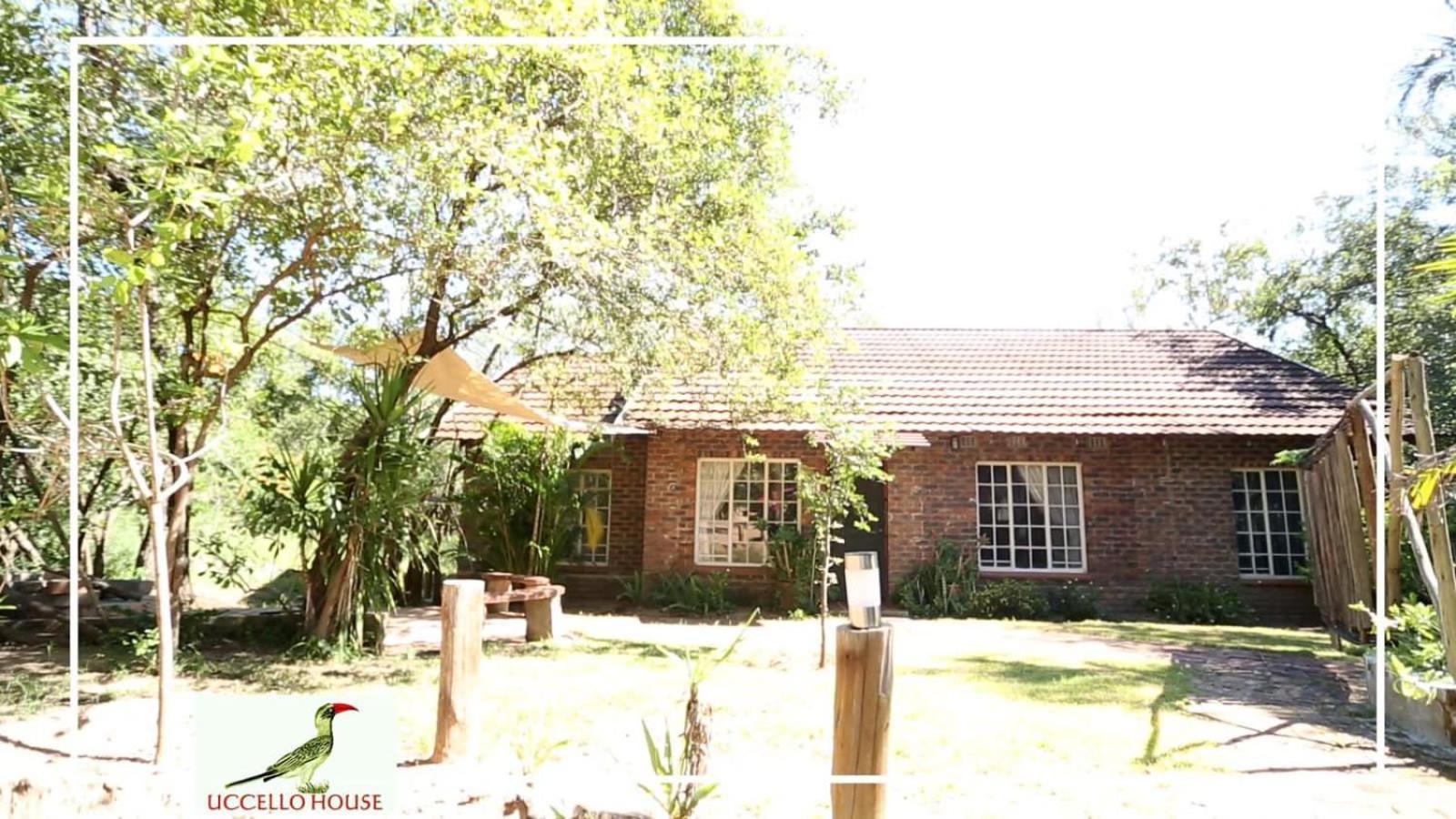 Uccellohouse view 2