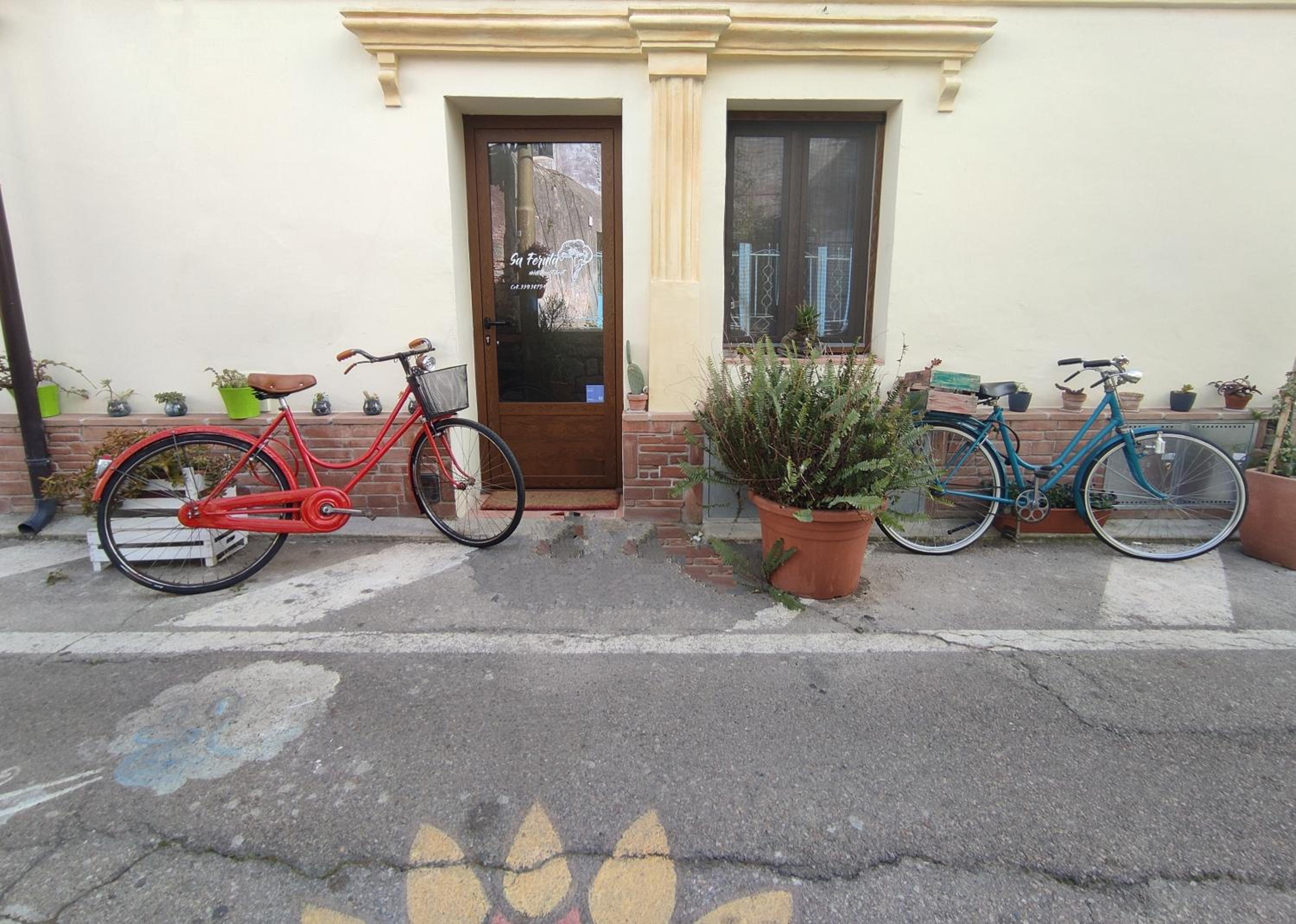 Photo 7