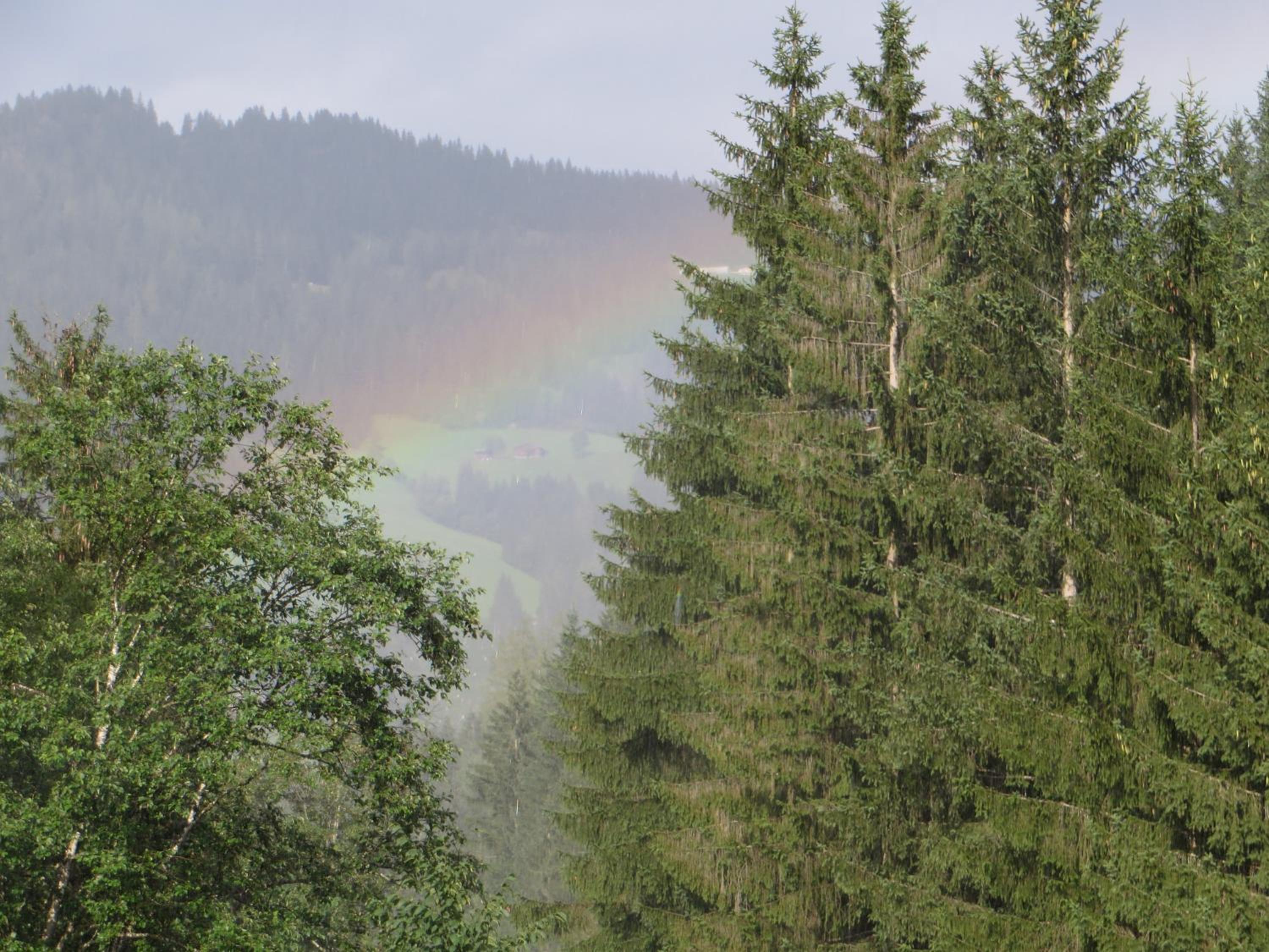 Pension Mühlbachhof