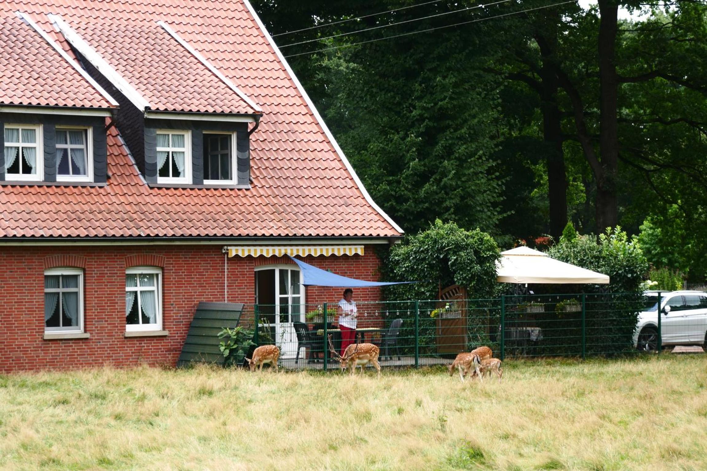 Ferienhaus 