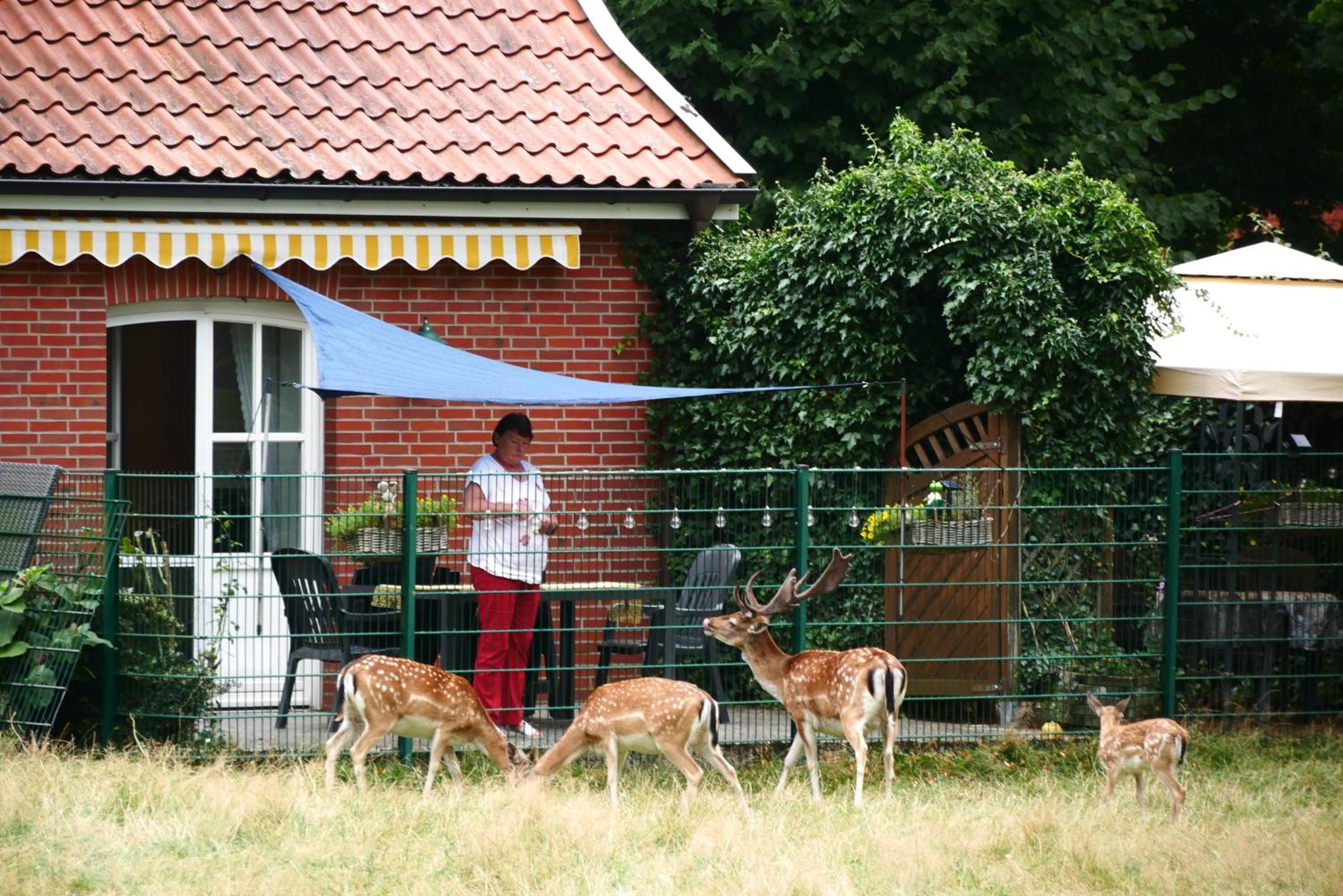 Ferienhaus 
