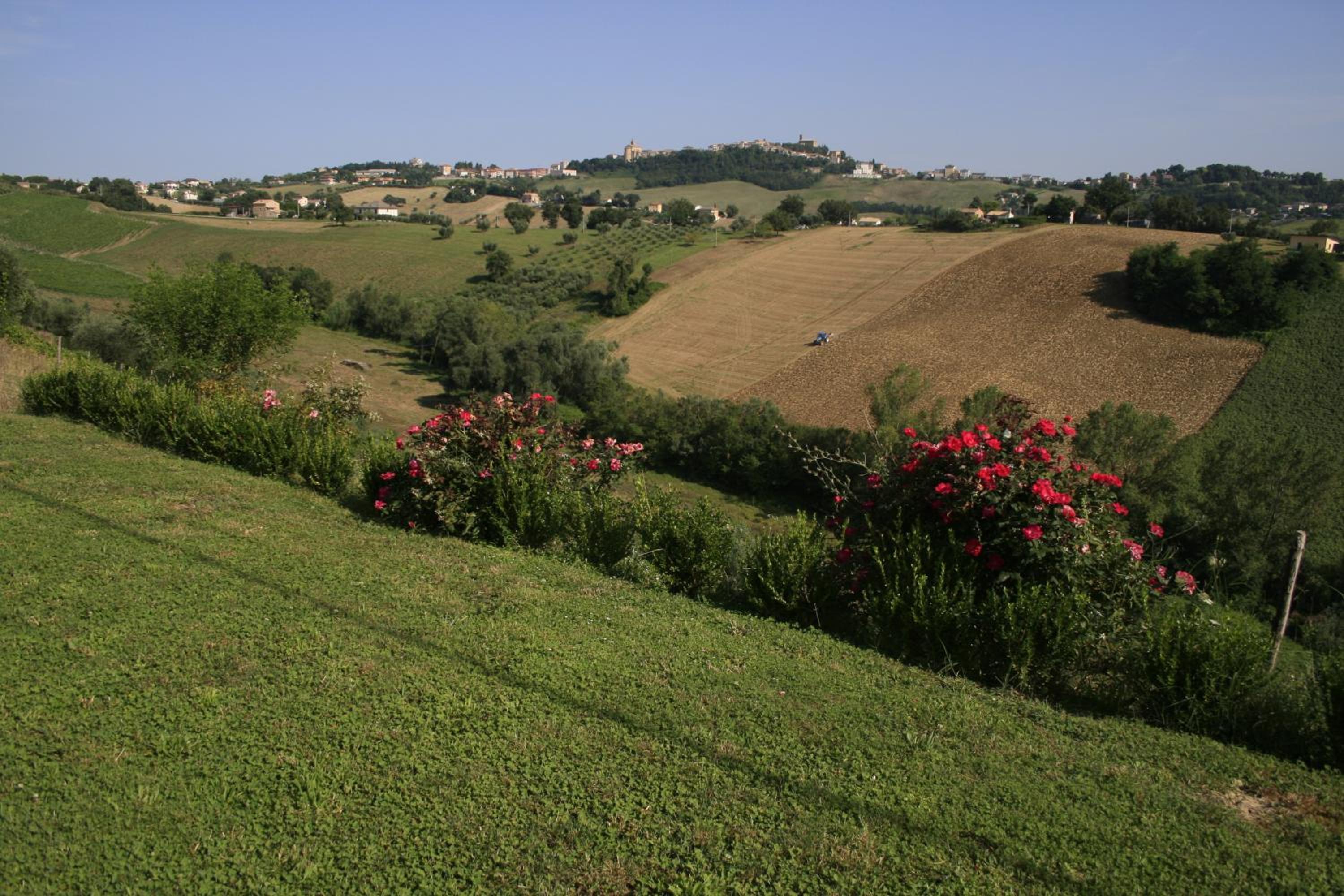 Photo 16