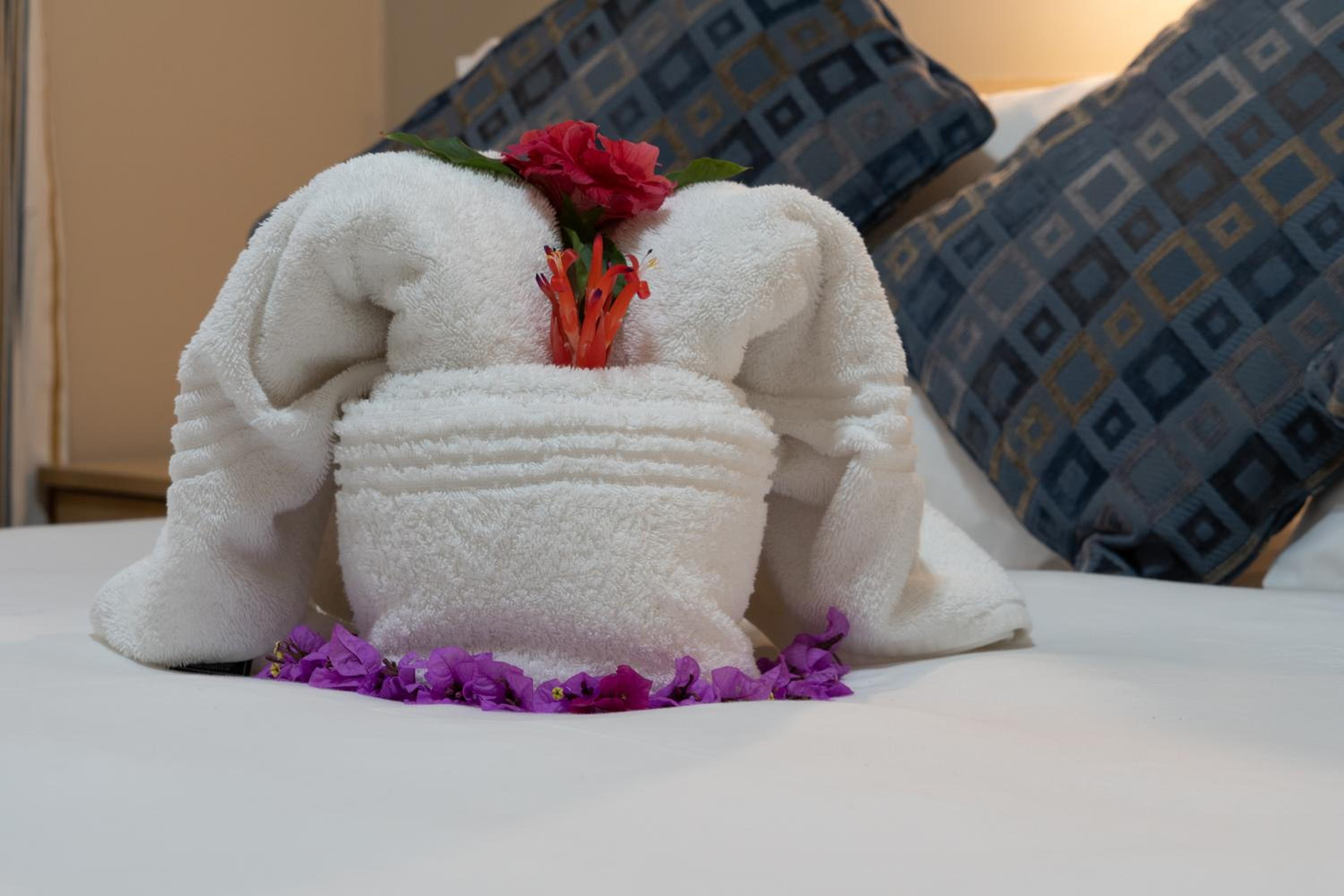 Gooderson Knysna Chalets