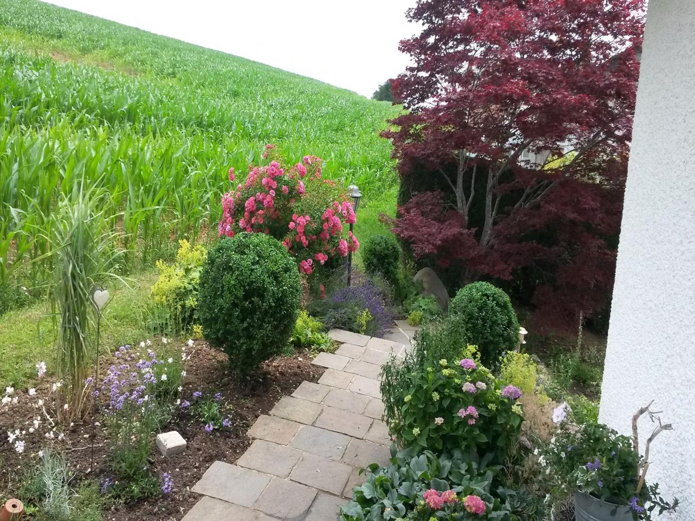 Ferienwohnung Leute view 5