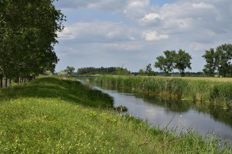 Akác Tanya