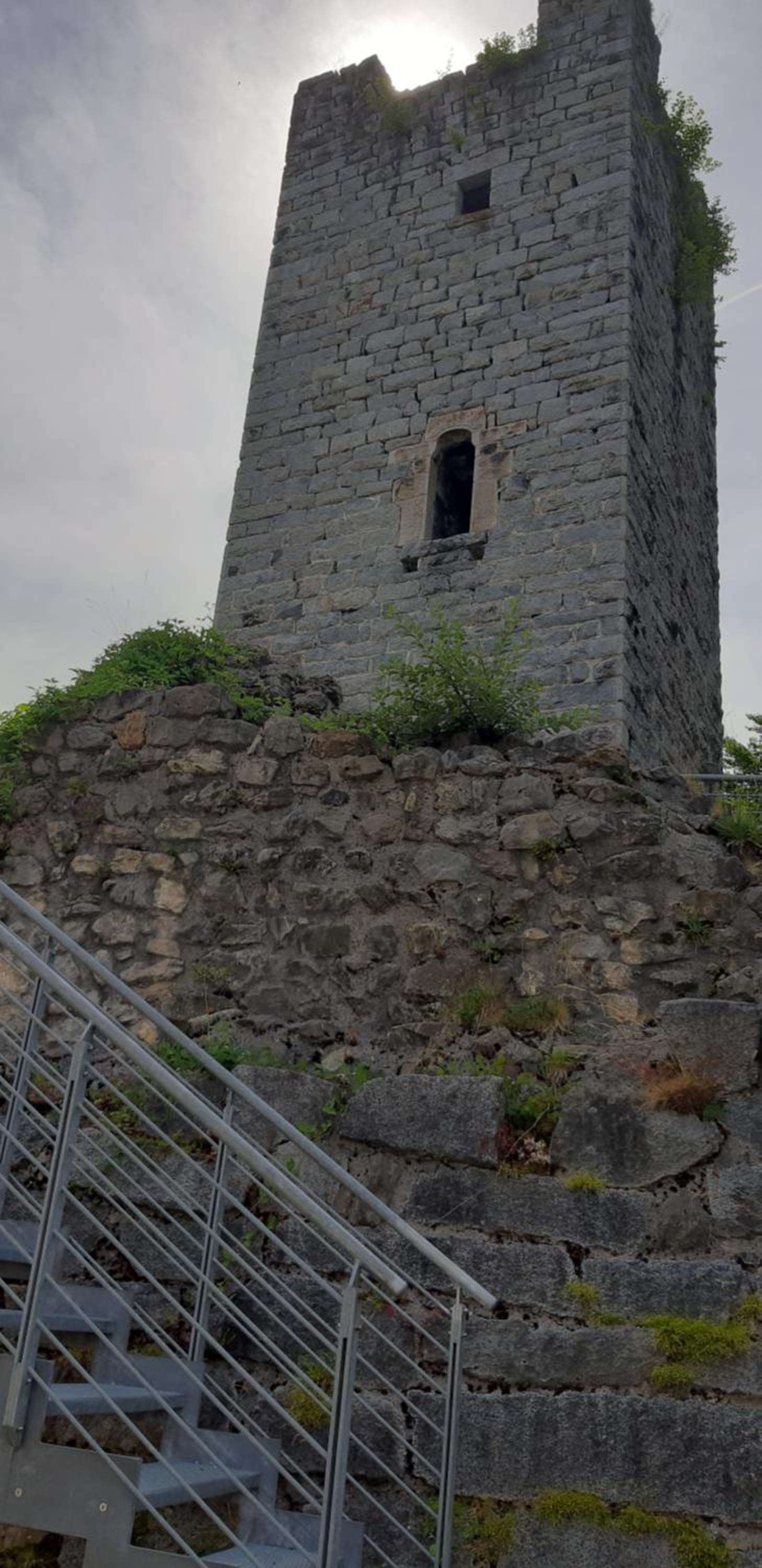 Photo 44