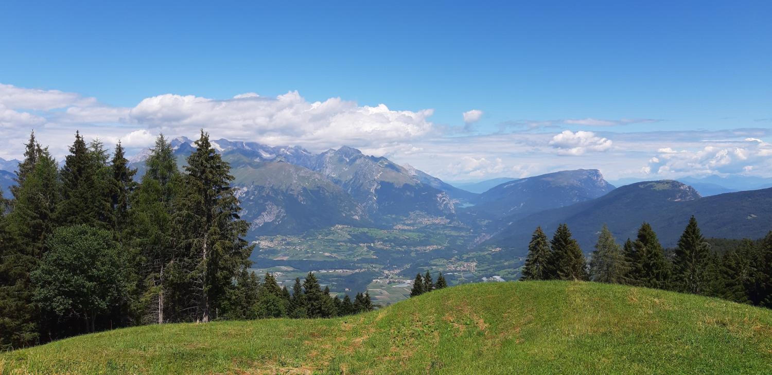 Photo 56