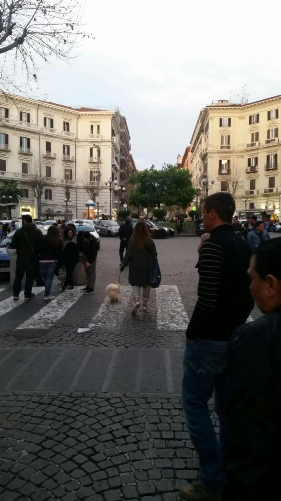 Photo 40