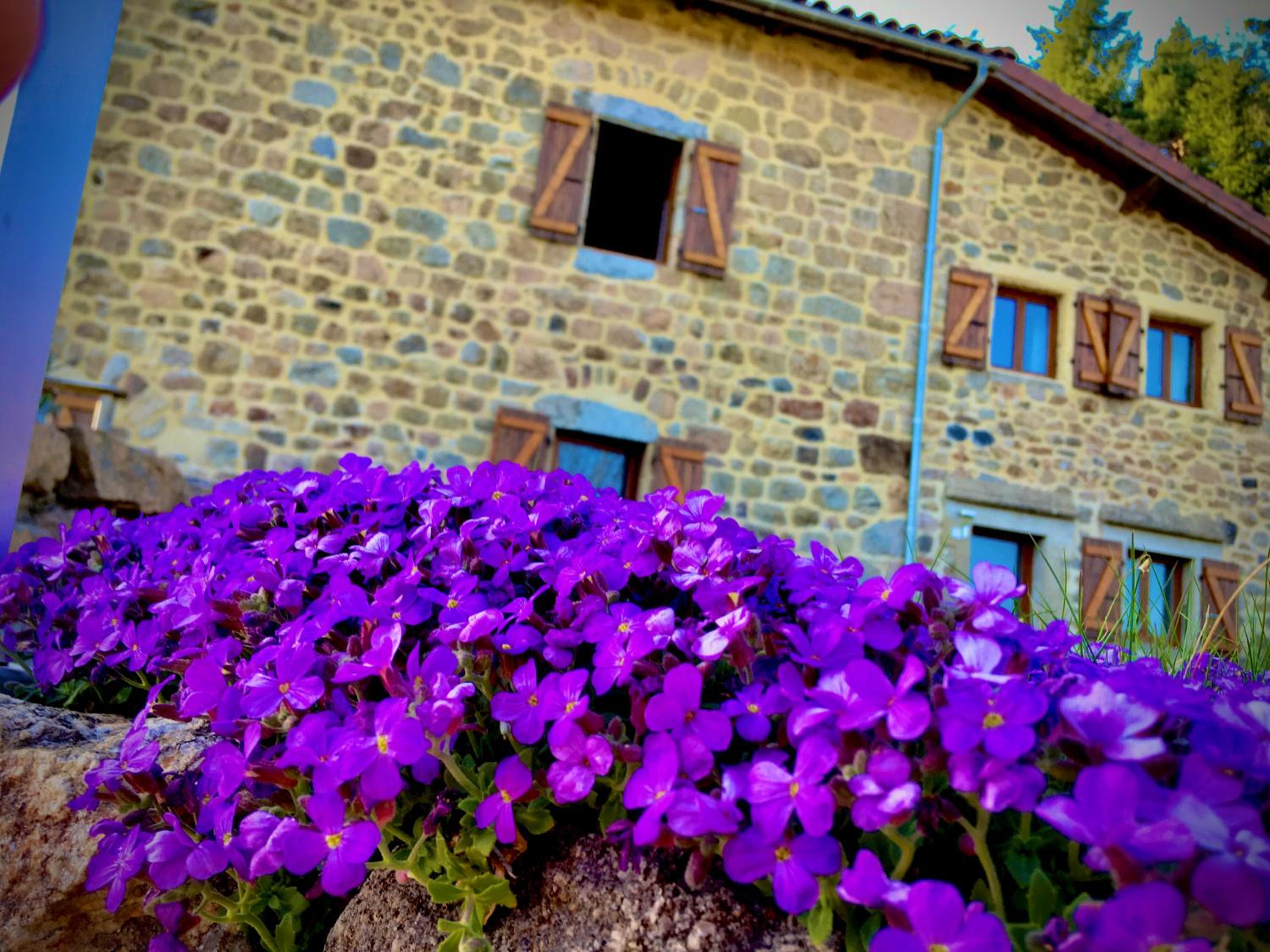 Grange De Sagne