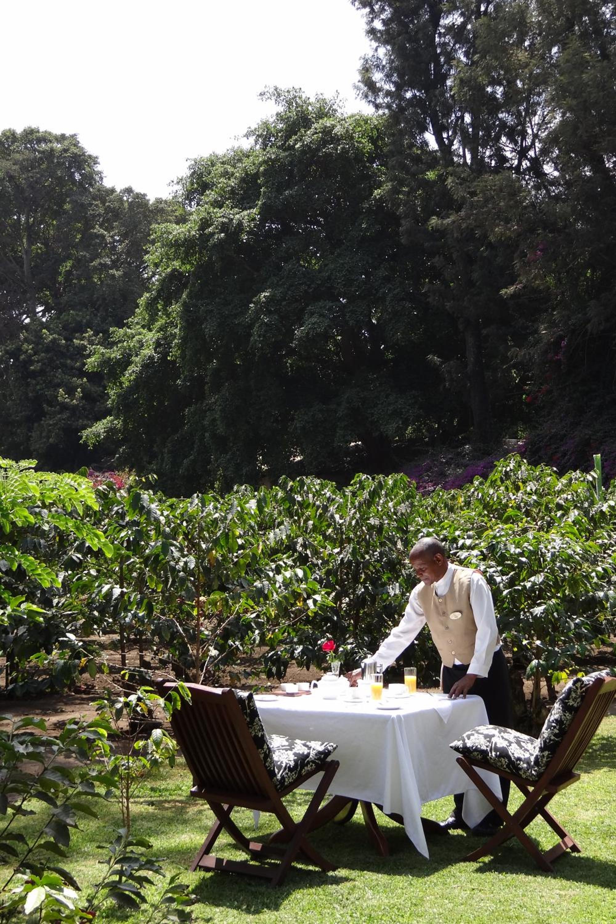 Elewana Arusha Coffee Lodge